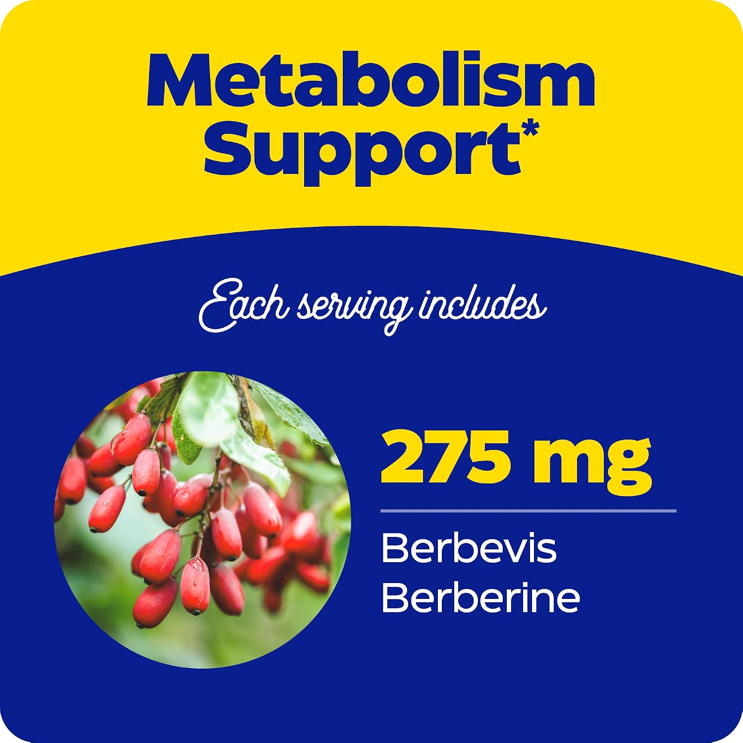 Enzymedica Berberine Phytosome High Bioavailability Formula, 60 Caps | Enhanced Absorption for Superior Berberine Delivery