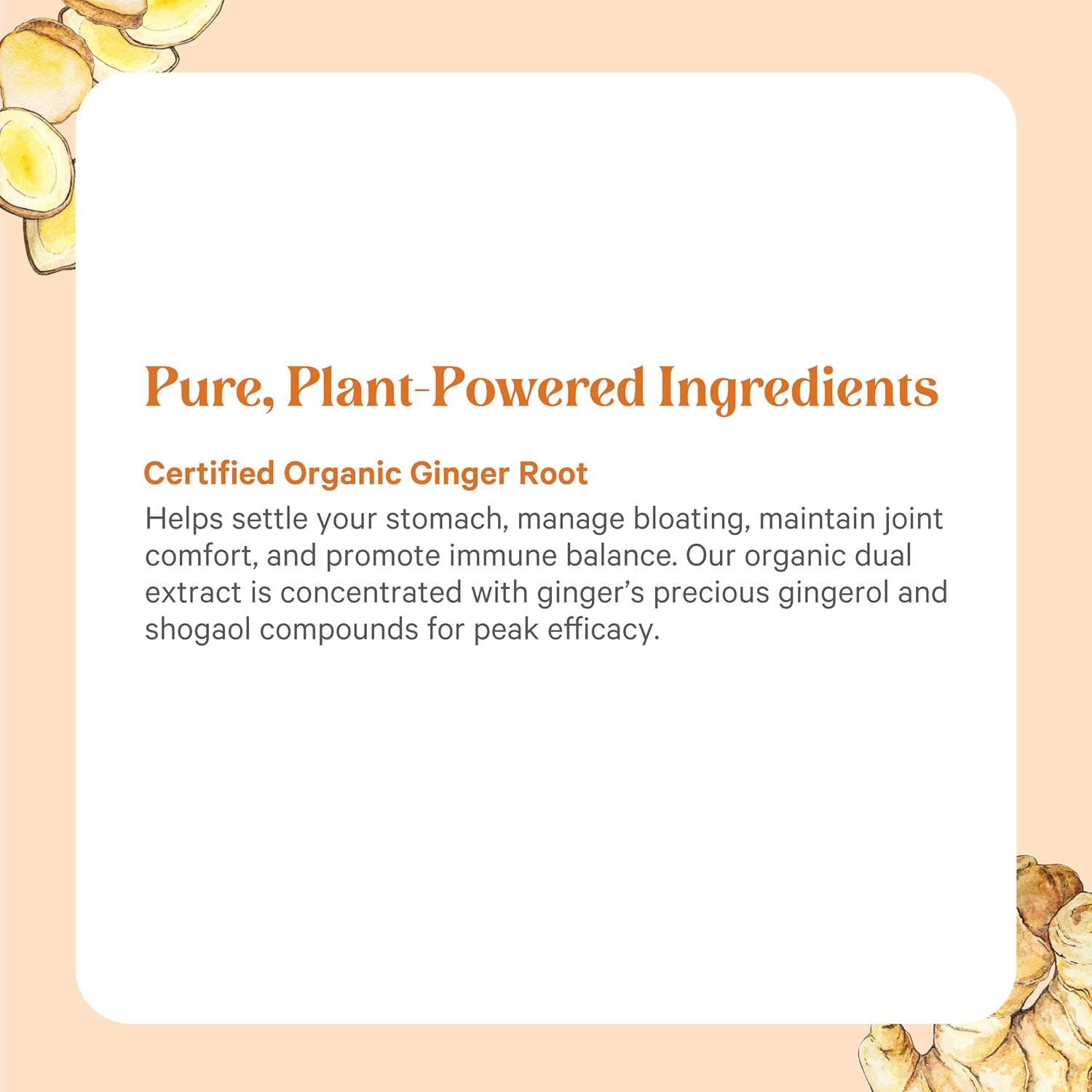 PURE SYNERGY SuperPure Ginger Extract | Organic Ginger Extract Digestive Supplement | for Stomach and Joint Support (60 Capsules)
