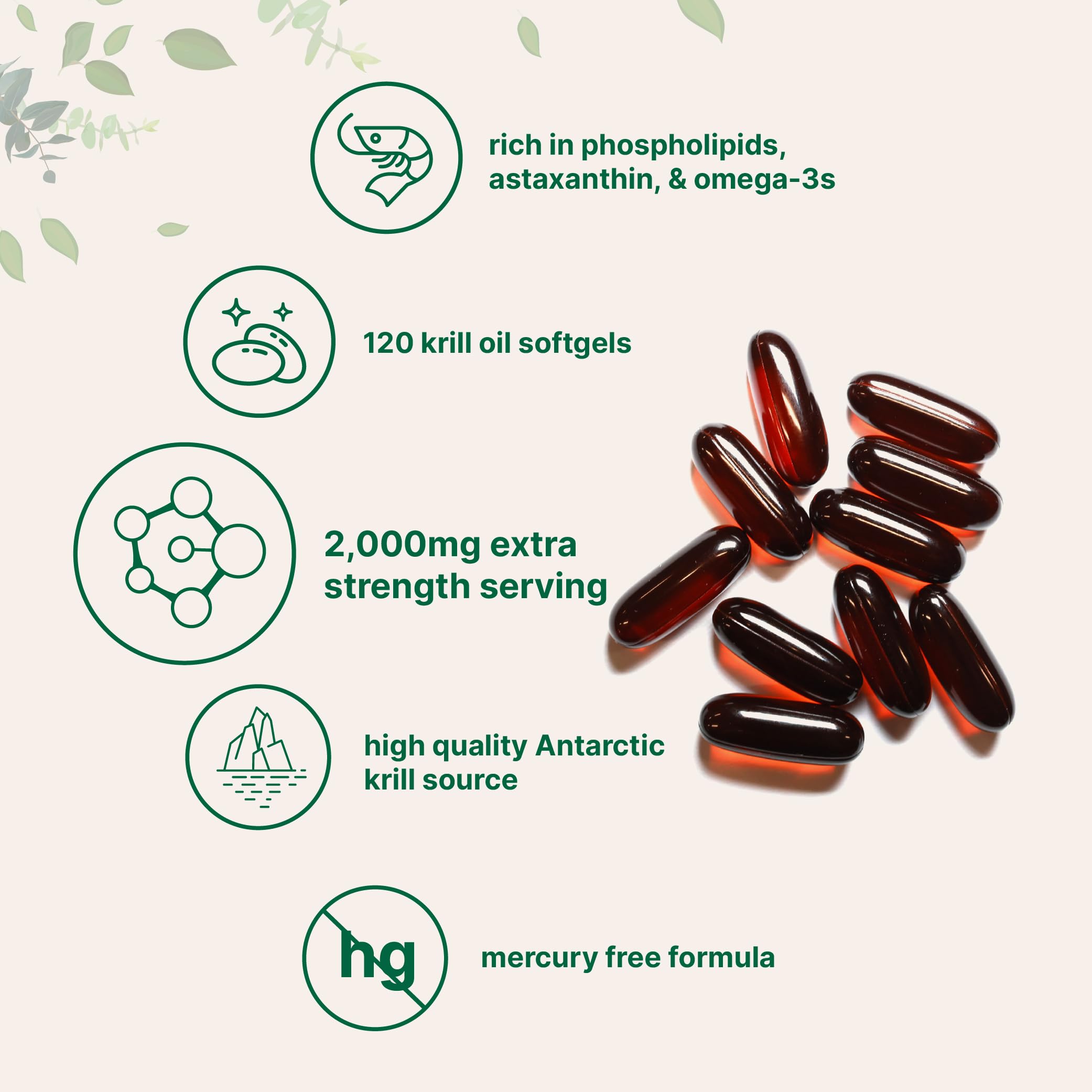Micro Ingredients Antarctic Krill Oil Supplement 2,000mg Per Serving, 240 Softgels | Omega-3 EPA & DHA with Phospholipids & Natural Astaxanthin | No Fishy Aftertaste | Non-GMO, Gluten Free