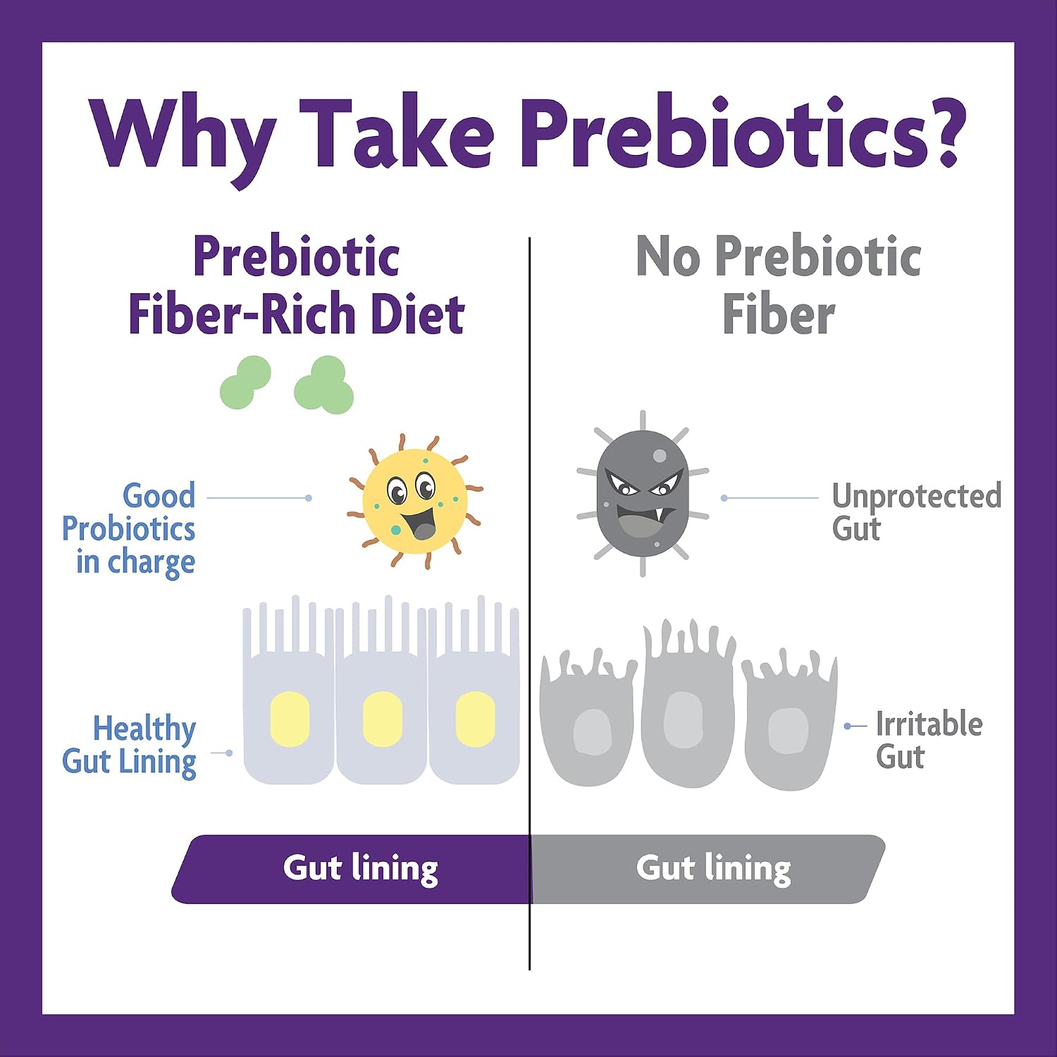 InnovixLabs Probiotic & Prebiotic Bundle Multi-Strain Probiotic (60 Time-Release Capsules) Prebiotic Fiber Powder (30-Day Supply). Boost Probiotic Growth for Gut and Immune Health.*