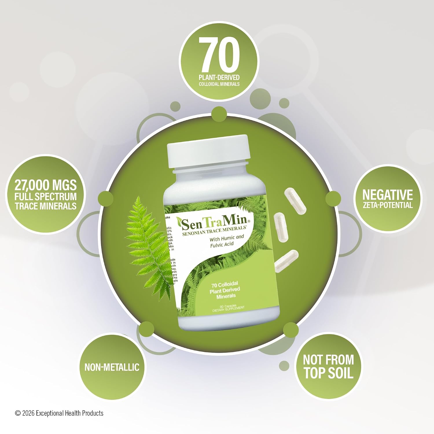 Plant Based Mineral Complex, 90 Vegetable Capsules | Daily Wellness, Energy & Immune Support with70 Plant Sourced Colloidal Trace Minerals with Antioxidants, Enzymes & More