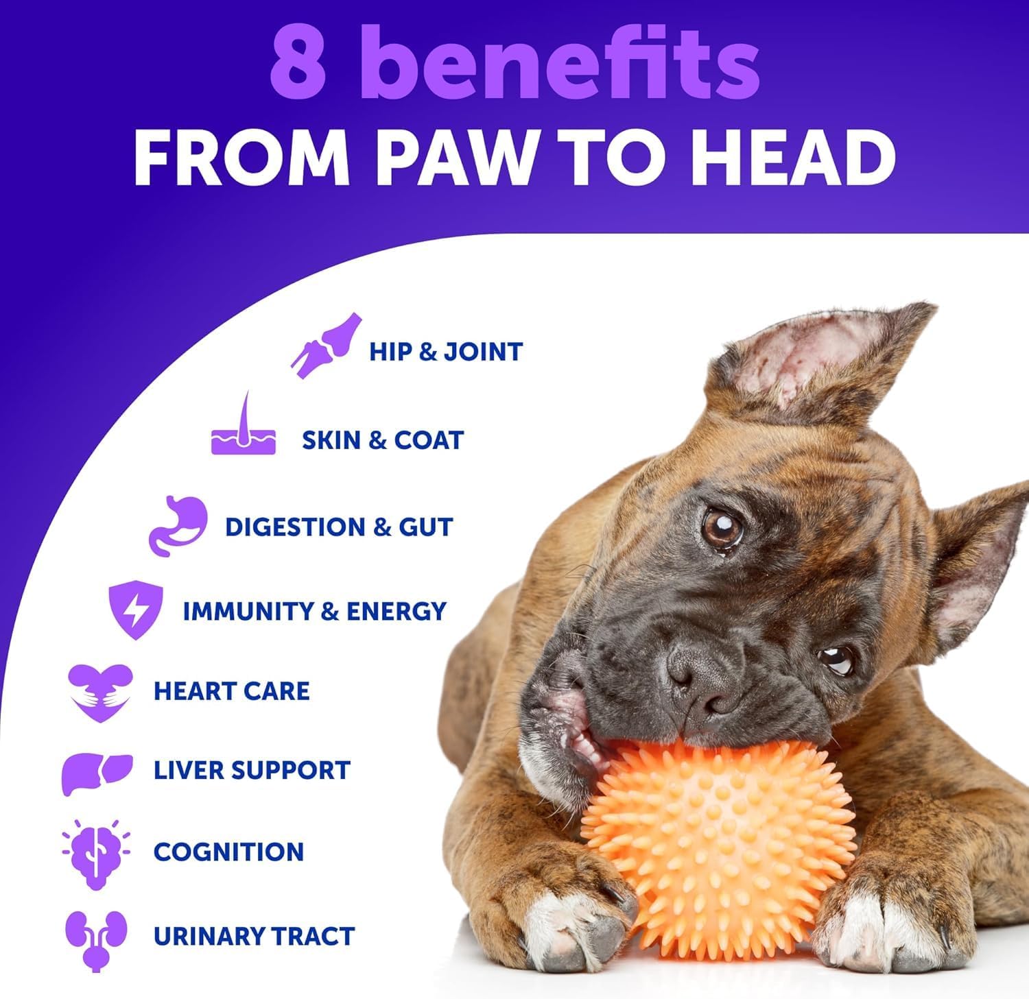 Dog Multivitamin Chewable with Glucosamine 26 in 1 - Dog Vitamins and Supplements - Senior & Puppy Multivitamin for Dogs - Pet Joint Support Health - Immunity, Mobility, Gut Skin - 120 Chews