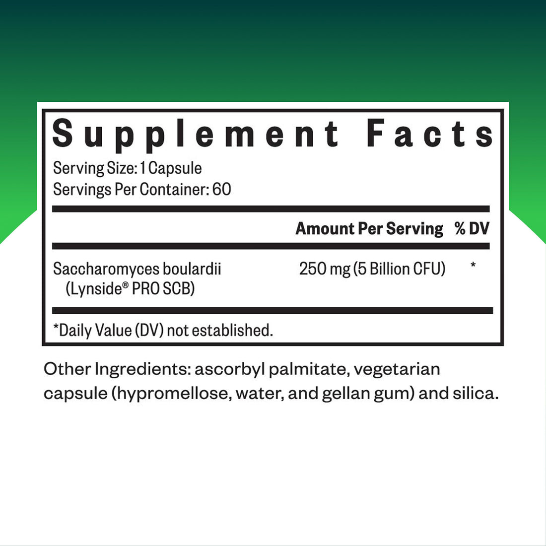 Seeking Health Saccharomyces Boulardii - Gentle Digestive Support for Healthy Bowel Movements* - Supports a Good GI Tract Environment & Microbiome While Traveling*