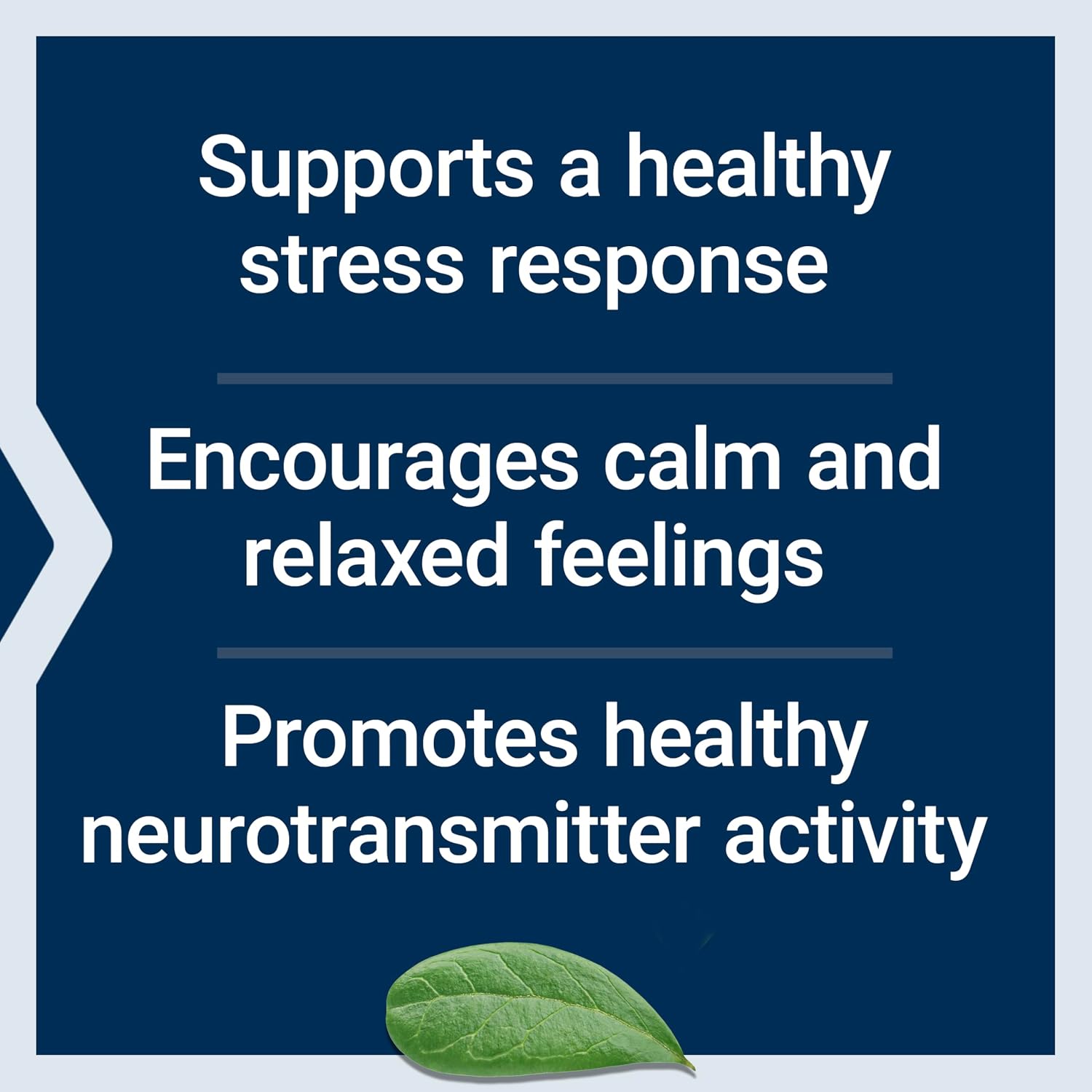 Life Extension Calm-Mag, Magnesium Acetyl taurinate, Daily Stress Management Formula, Supports Calmness and Relaxation, Gluten-Free, Non-GMO, Vegetarian, 30 Capsules