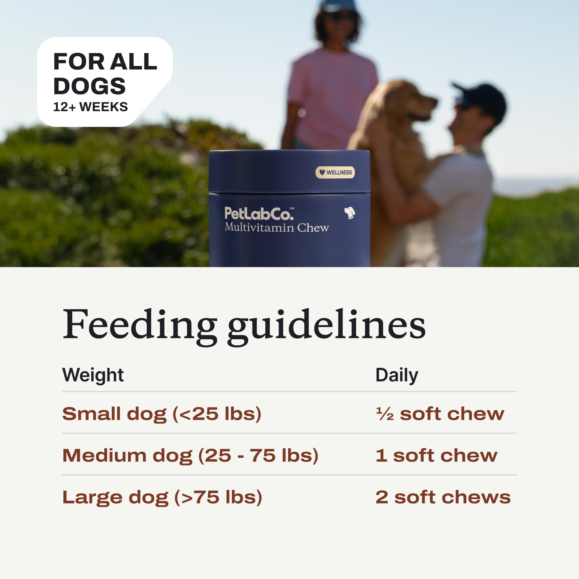 PetLab Co. 22-in-1 Multivitamin Chews for Dogs, Pork Flavor | 22 vitamins and minerals in one daily soft chew to support immune health, energy, skin, coat and overall wellbeing