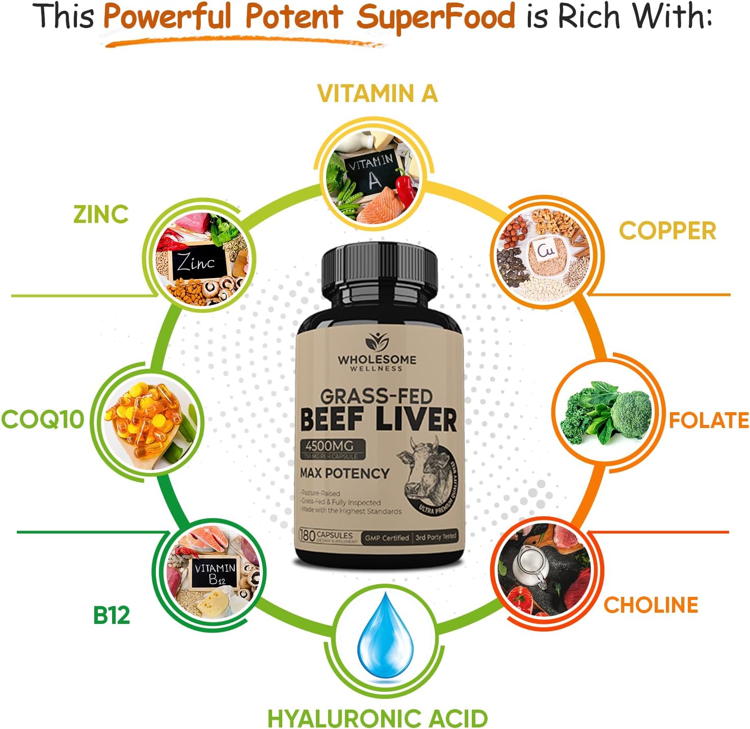 Wholesome Wellness Organic Probiotics 100 Billion CFU + Grass Fed Desiccated Beef Liver Capsules Bundle