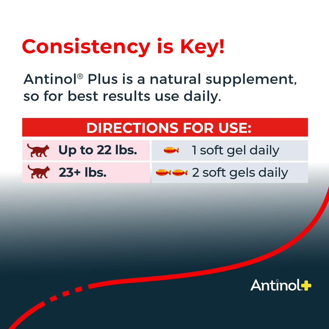 Antinol Plus, Mobility, Hip, and Joint Supplement for Cats, Green-Lipped Mussels and Krill Oil - Cat Joint Supplement, 60 Soft Gels AntinolBuy Supplements Australia