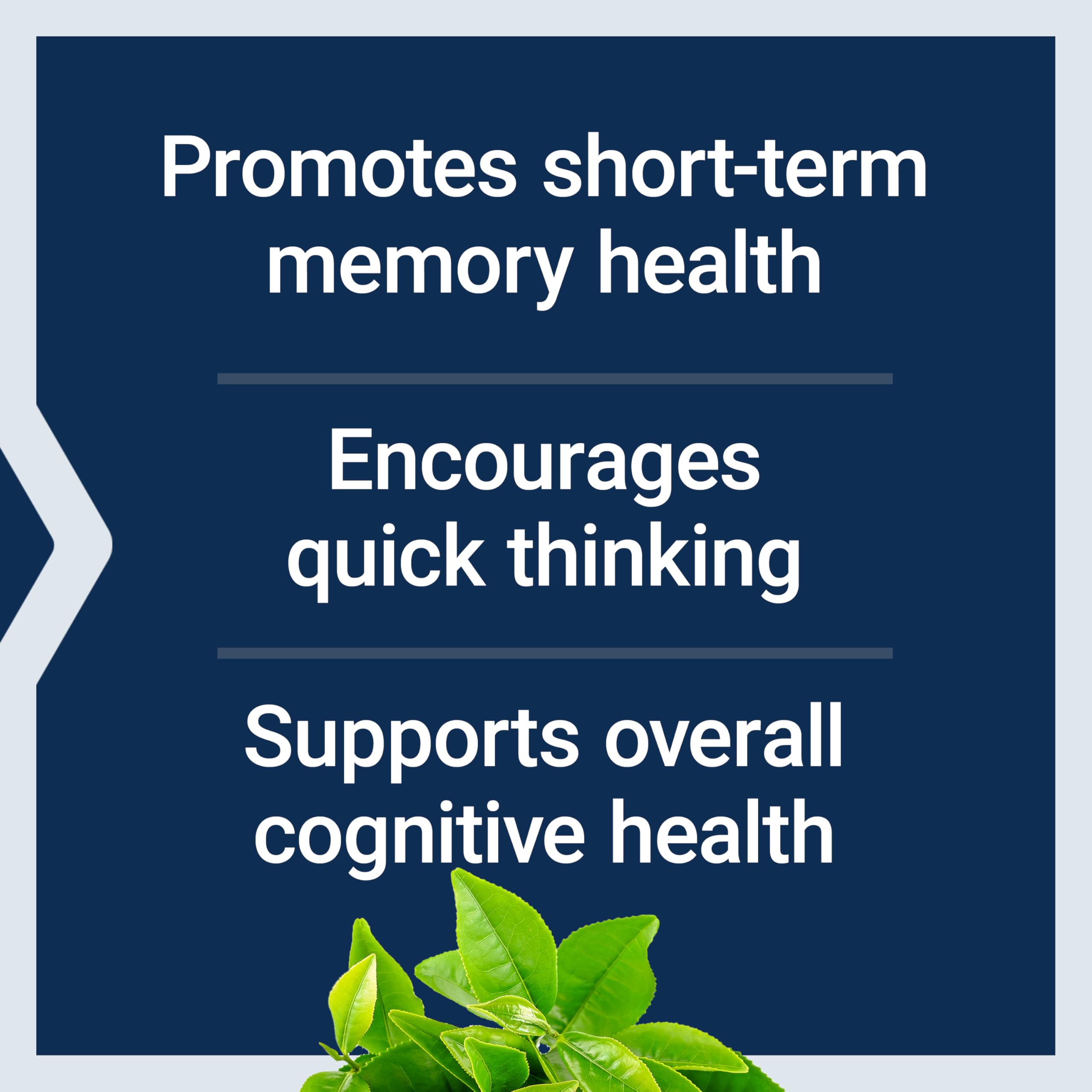 Life Extension Neuro-Mag Magnesium L-Threonate, Memory Health, Quick Thinking, Cognitive Health Support, Vegetarian, Non-GMO, 90 Vegetarian Capsules