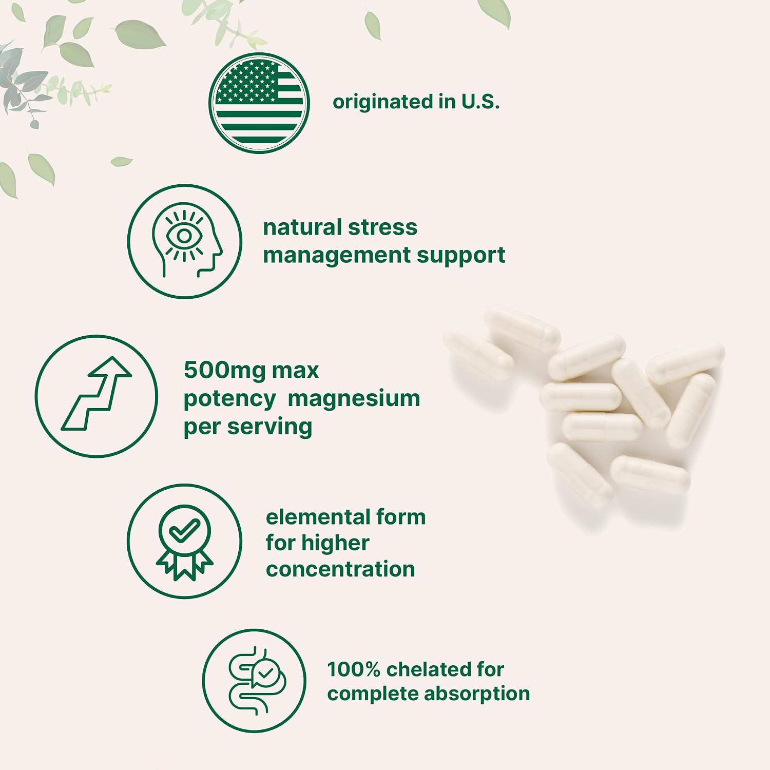 Micro Ingredients Magnesium Glycinate 500mg Per Serving, 240 Capsules | Potent Elemental Form, Chelated, High Absorption | Healthy Muscle, Bones, & Mood Support Supplement | Non-GMO
