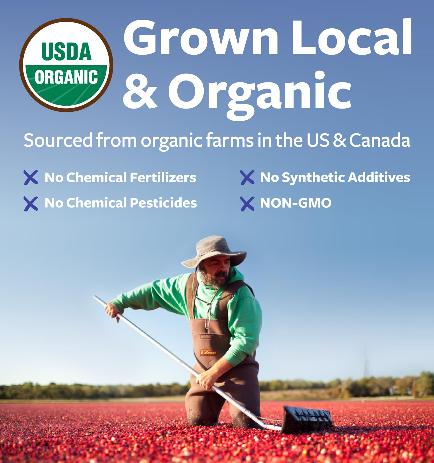 PURE CO USDA Organic Cranberry Concentrate Powder - Organic Cranberry Powder 500mg 50:1 Extract Per 1 Scoop Serving - Kidney Cleanse & Urinary Tract Support for Women - 100 Servings