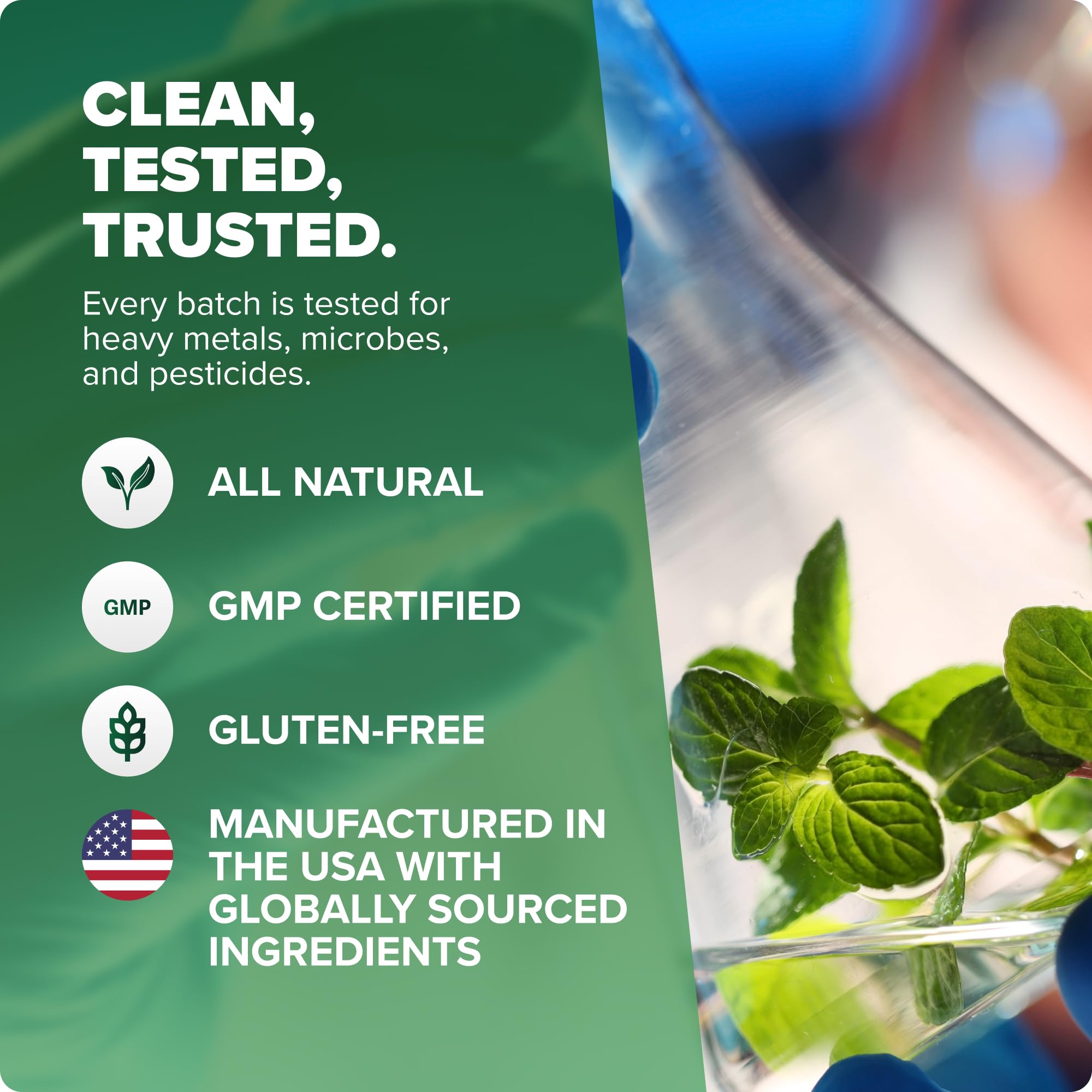 Rosabella Pure Moringa Powder - Energy, Skin, Immune & Gut Health Superfood, Rich in Antioxidants, Essential Vitamins & Amino Acids, Natural Green Superfood Supplement (3.7oz (Pack of 1))