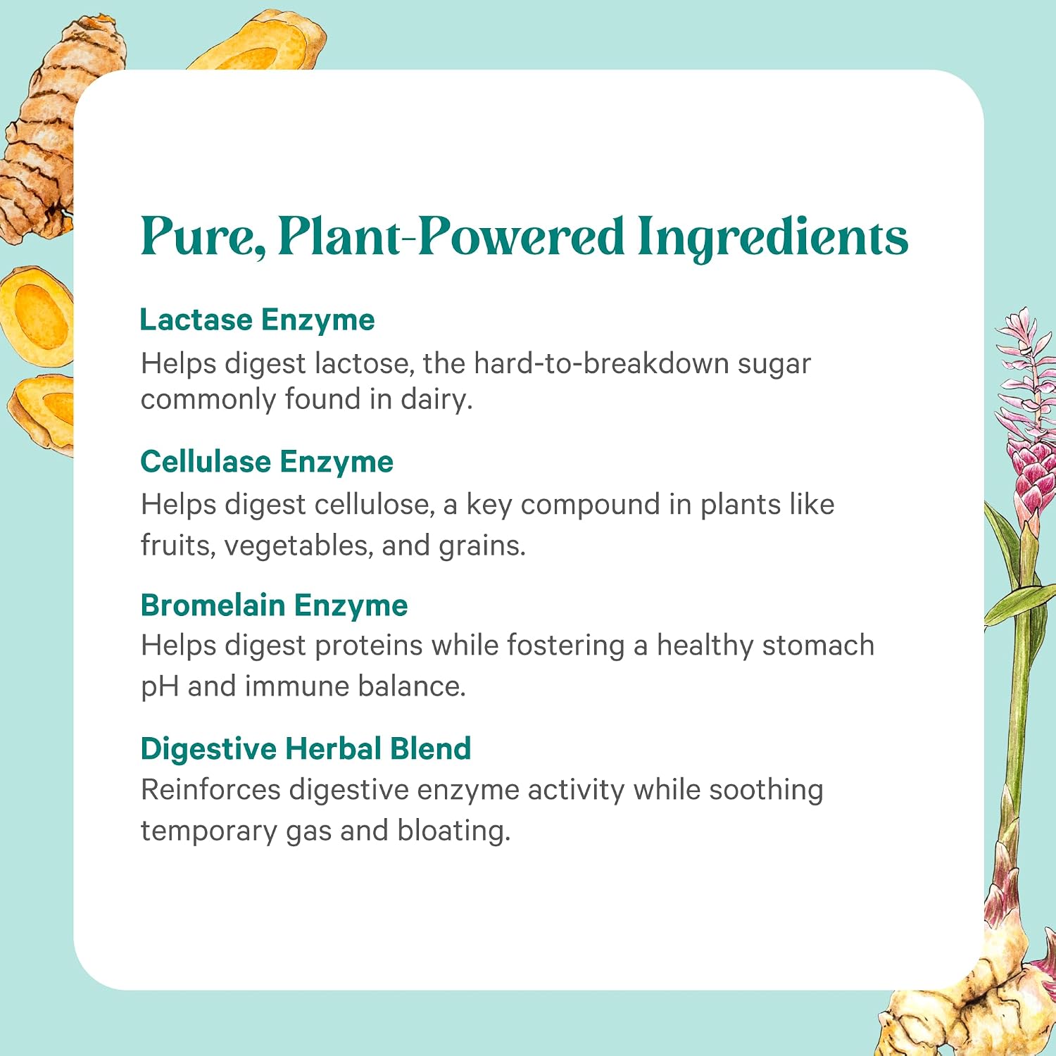 PURE SYNERGY Enzyme Power | Digestive Enzyme Supplement | Digestive Health Enzymes with Nattokinase, Bromelain, and Serrapeptase | for Digestive and Gut Health (90 Capsules)