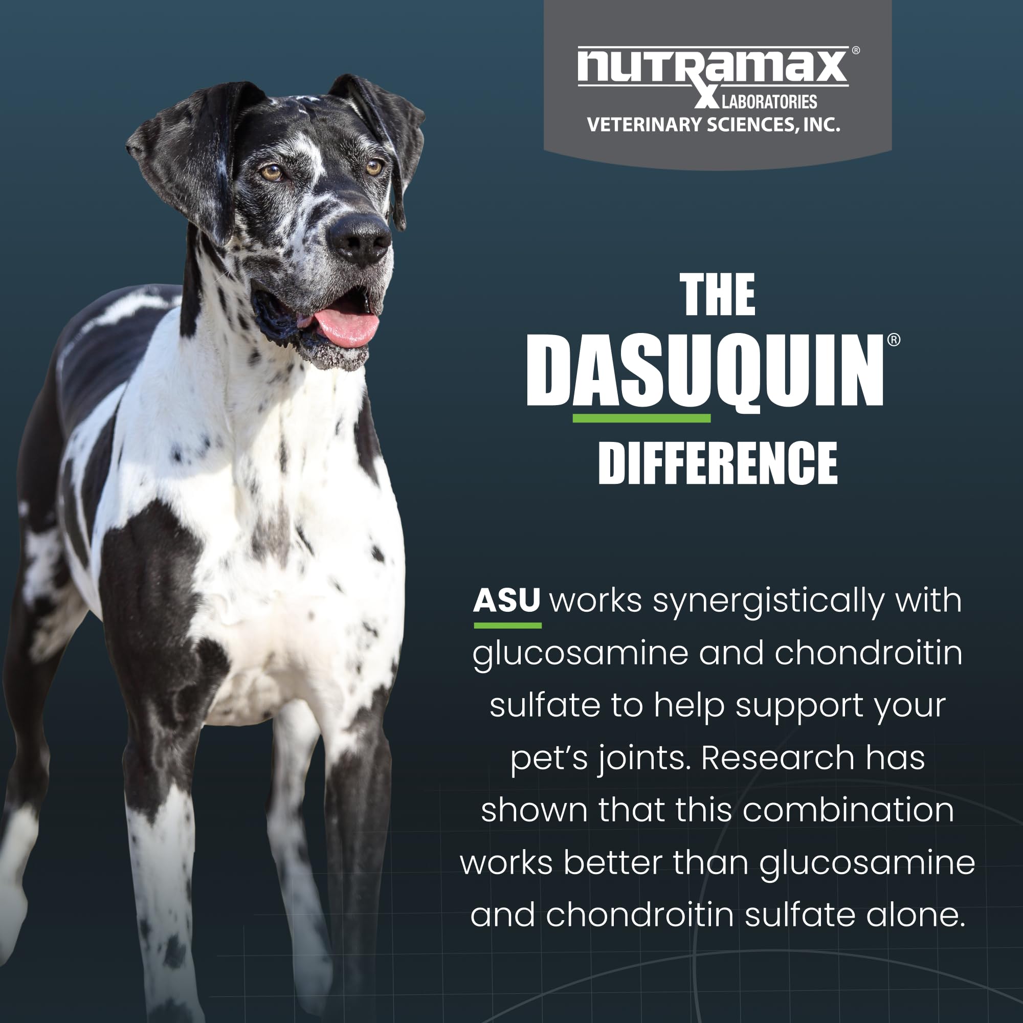 Nutramax Dasuquin for Large Dogs, Joint Health Supplement, Contains Glucosamine for Dogs, Plus Chondroitin, ASU, MSM and More, Supports Healthy Joints, Soft Chews, 150 Count Nutramax LaboratoriesBuy Supplements Australia