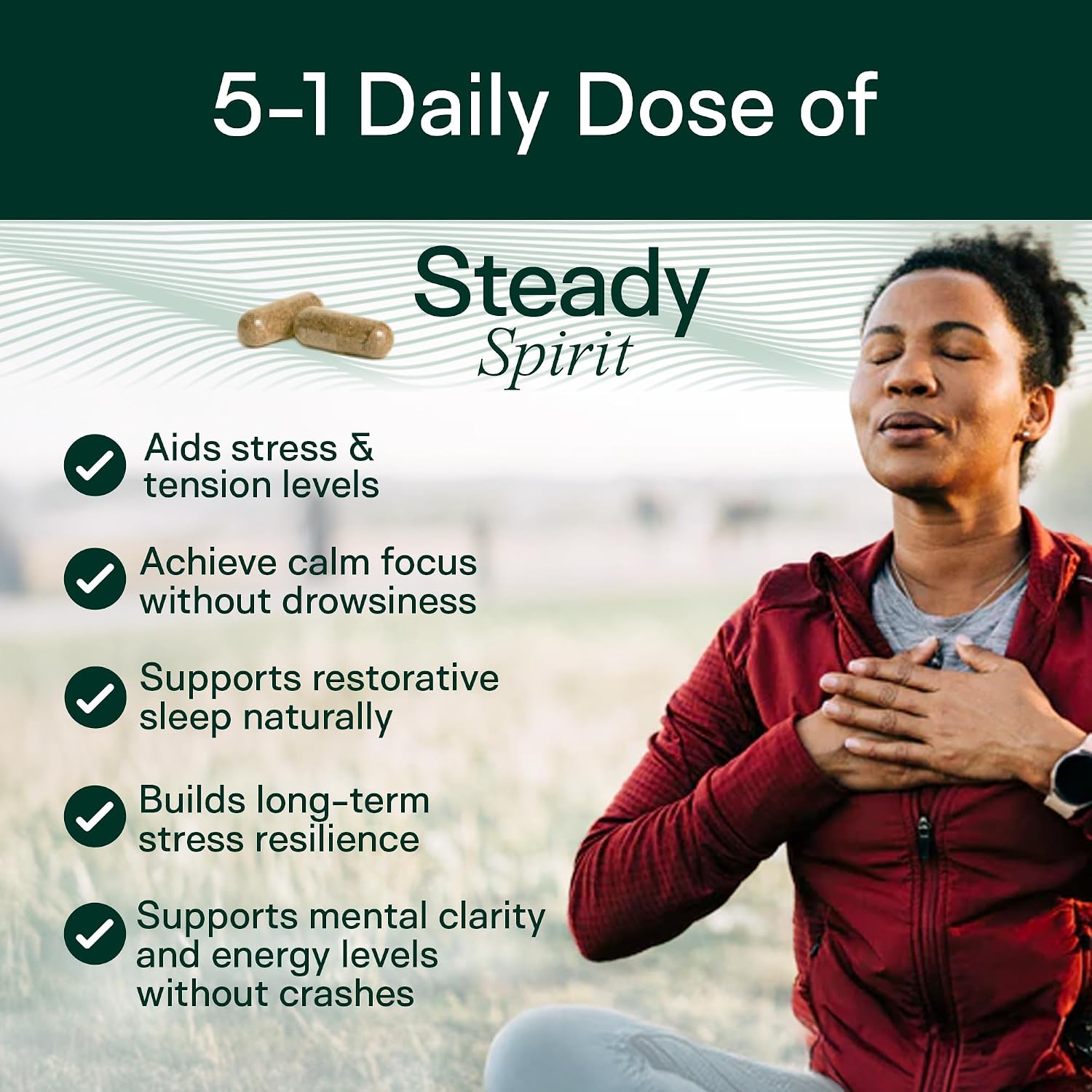 Adapt Naturals Steady Spirit Stress, Moddy & Resilience Support Supplement | Clinically Studied Saffron, Ashwagandha, L-Theanine, Lemon Balm & Holy Basil - Adaptogen Blend for Calm Focus - 30 Day Supply
