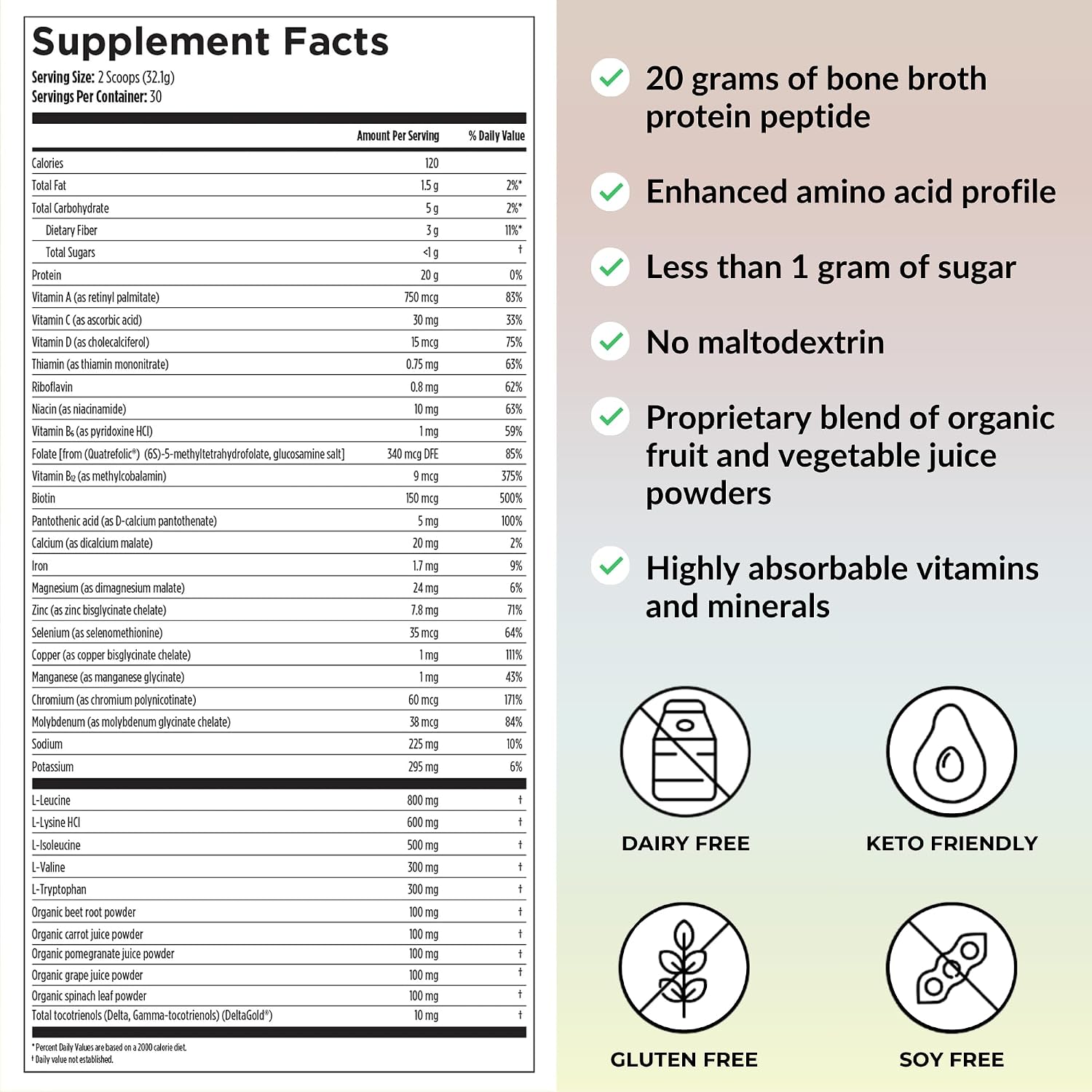 Reignite Wellness by JJ Virgin | Chocolate Bone Broth All-in-One Shake | Gluten Free + Dairy Free Protein Powder | Contains 20G of Beef Protein with Vitamins, Minerals, Amino Acids | 30 Servings