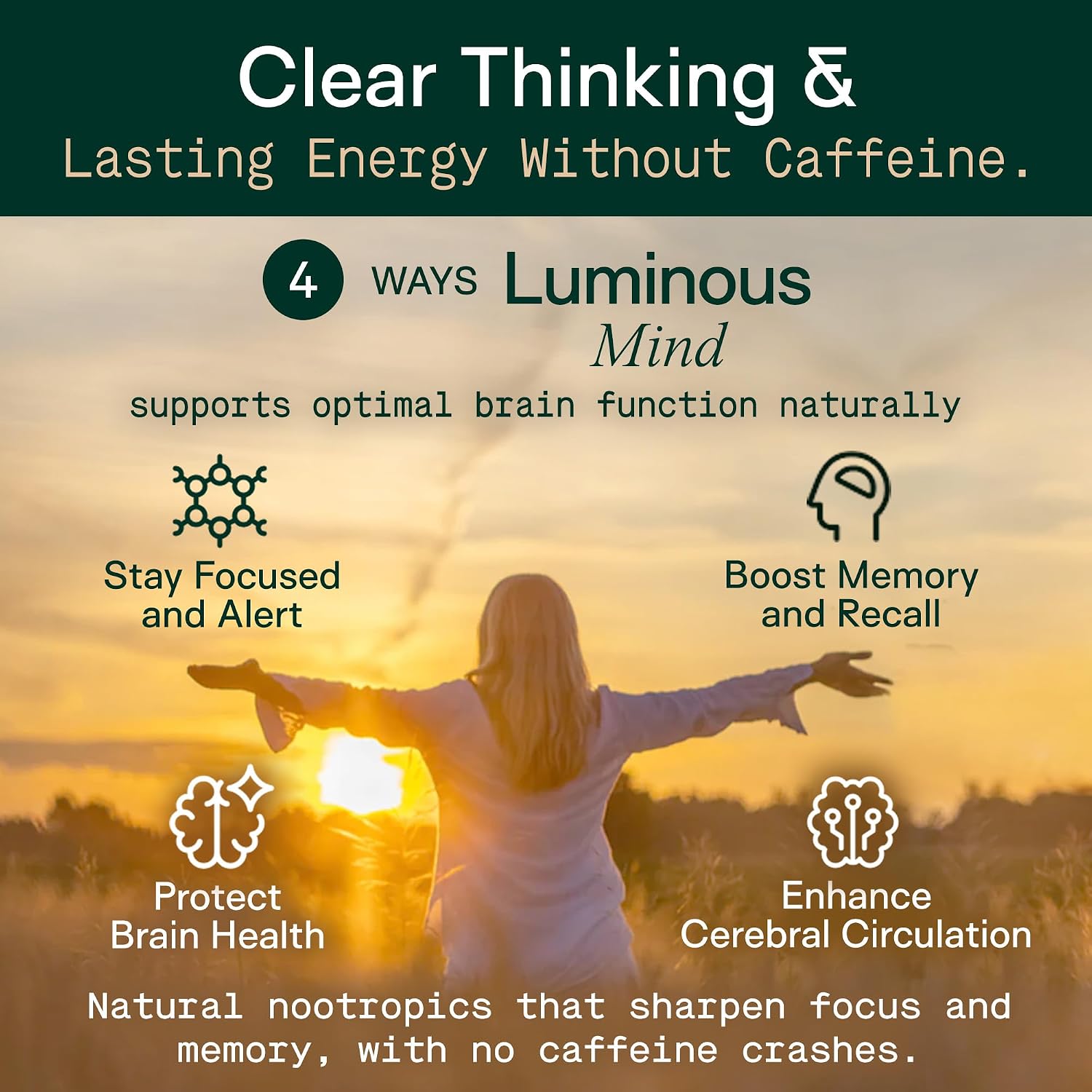 Adapt Naturals Luminous Mind Nootropic Brain Supplement - 30 Day Supply | with Ginkgo Biloba, Bacopa & Lions Mane - Memory, Focus, Mental Clarity & Elevated Mood Support - No Caffeine & Crash Free