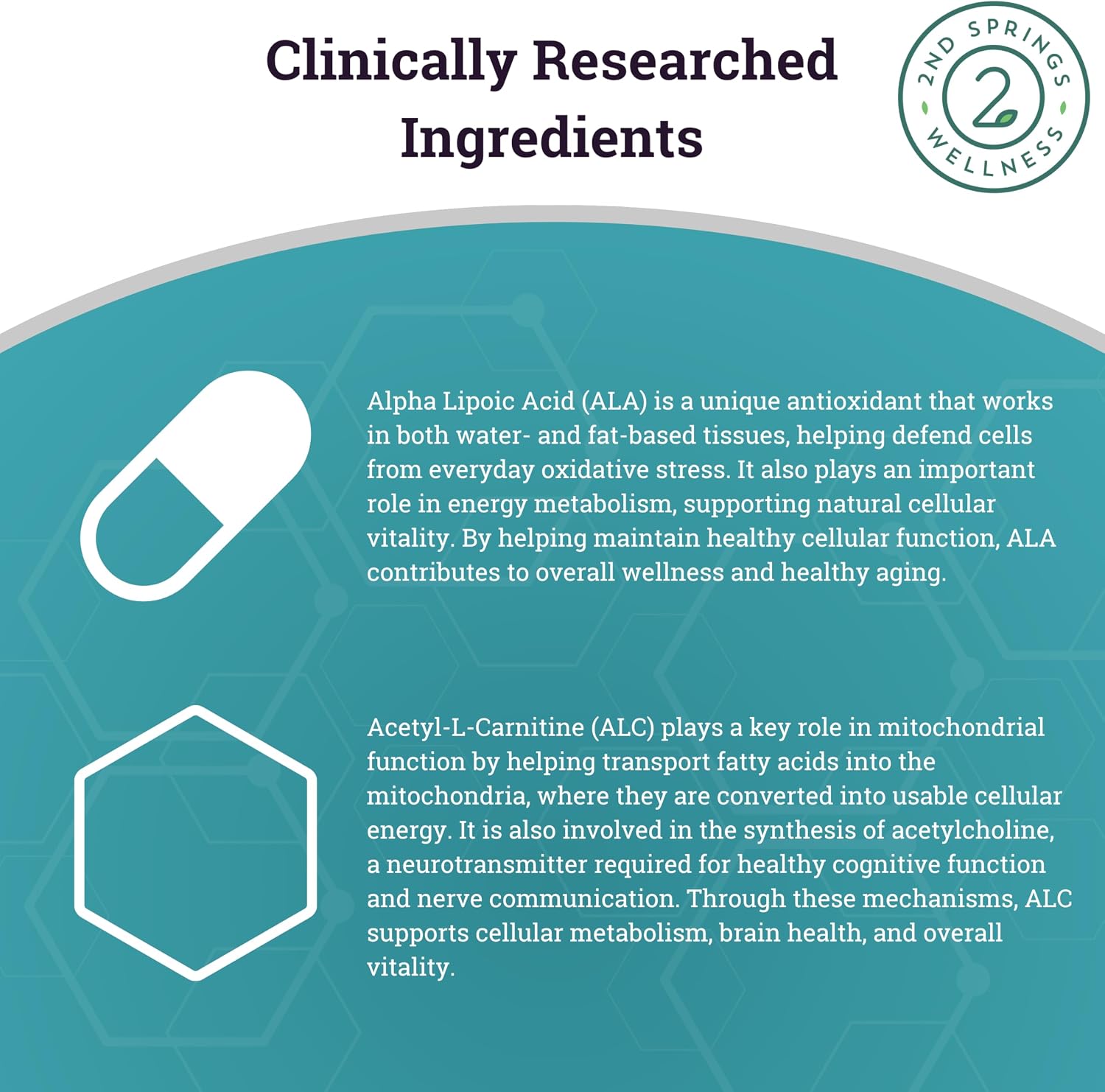 ALA & ALC Complex + 7 Mushroom Complex Bundle | Energy, Focus, Cognitive Support, Immunity, Metabolism & Daily Vitality
