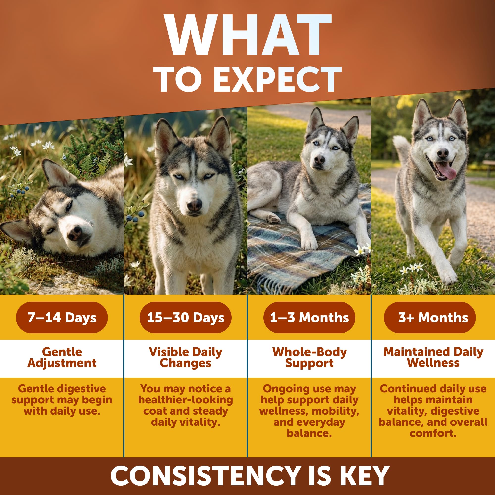 Dog Multivitamin Chewable with Glucosamine 26 in 1 - Dog Vitamins and Supplements - Senior & Puppy Multivitamin for Dogs - Pet Joint Support Health - Immunity, Mobility, Gut Skin - 120 Chews