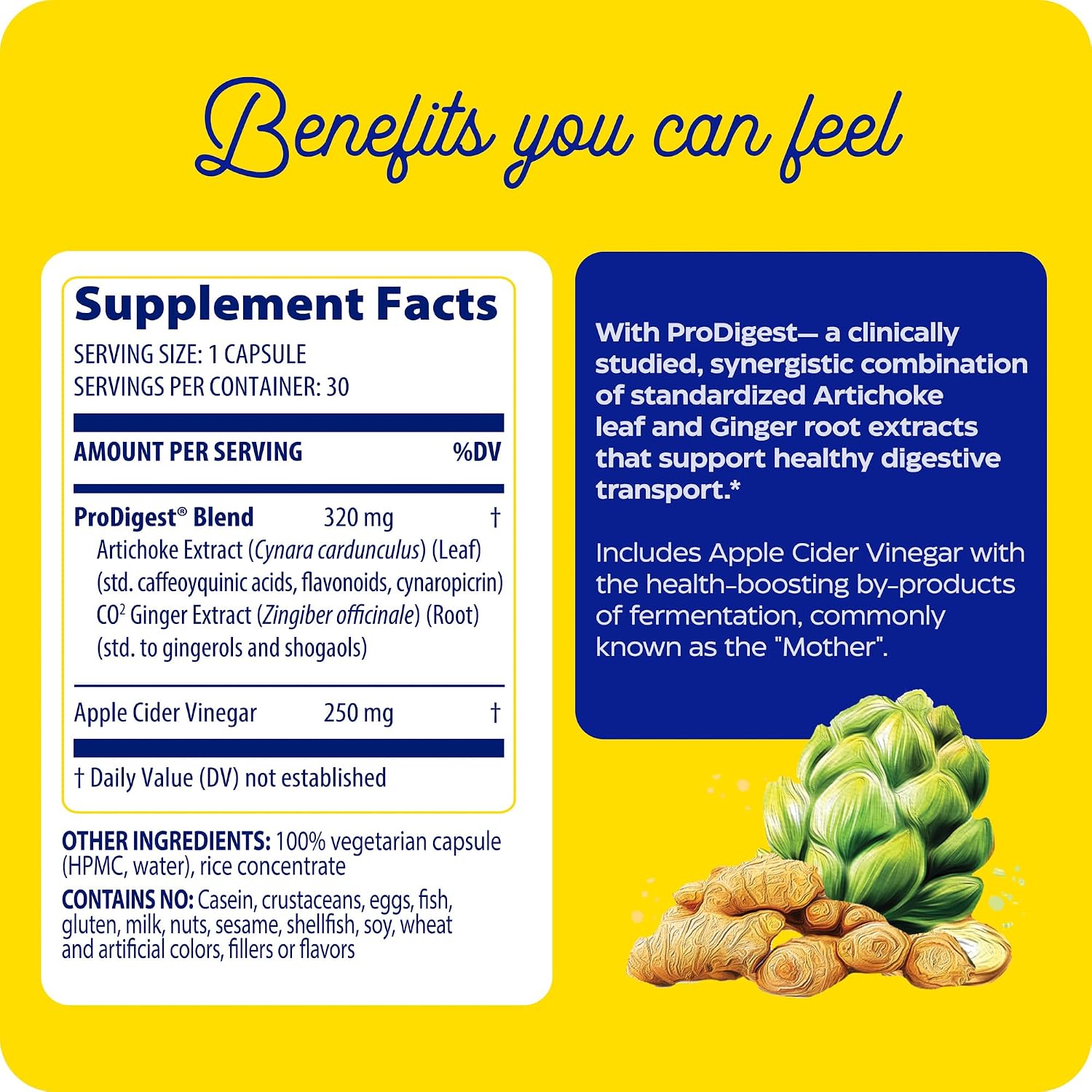 Enzymedica Gut Motility with Apple Cider Vinegar, Artichoke, 30 Caps | Supports digestive movement with ginger and botanical extracts