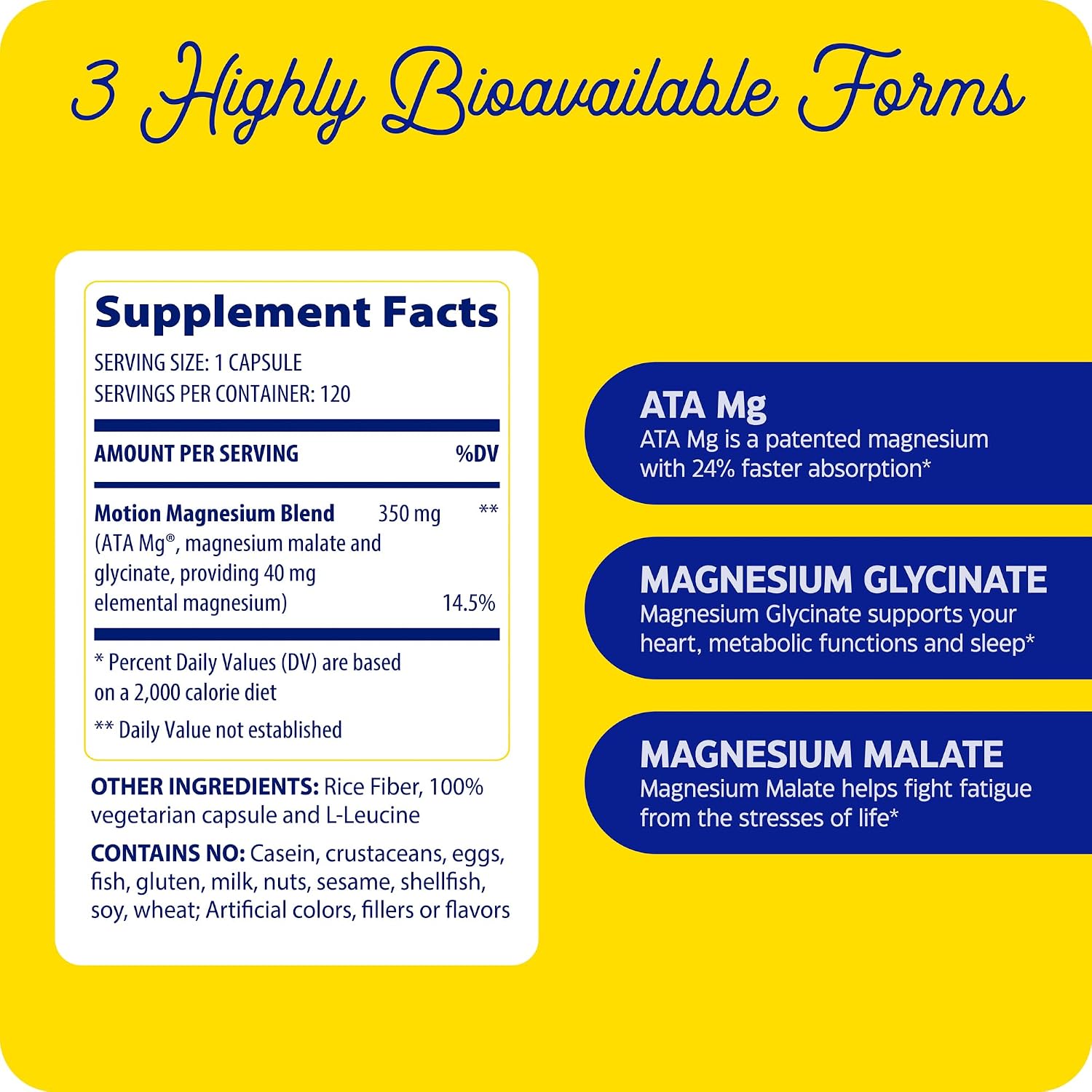Enzymedica Magnesium Motion Supplement for Women & Men - Triple Magnesium Complex, ATA Mg, Malate & Glycinate, Muscle & Bone Health Support Capsules, High Bioavailability, Vegan, Gluten Free- 120 Caps