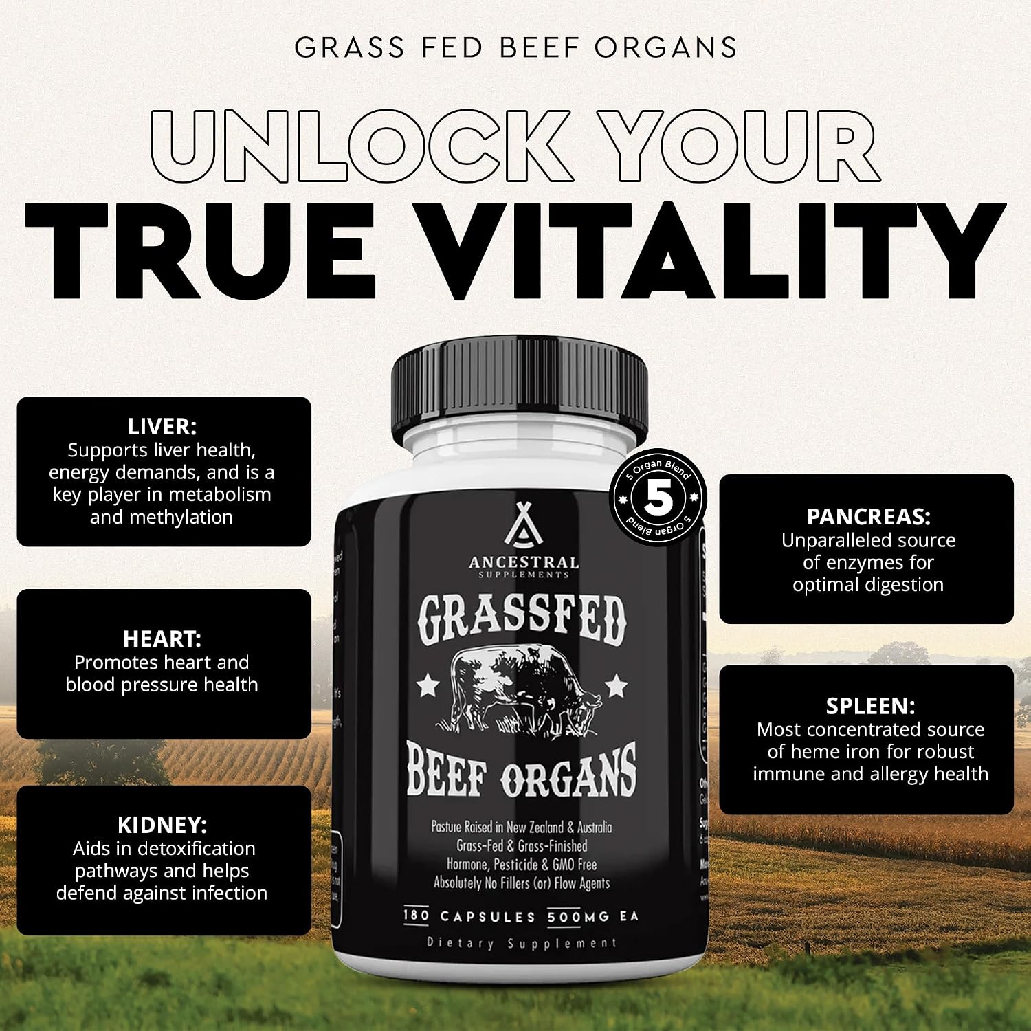 Ancestral Supplements Beef Liver & Beef Organs Bundle – Supports Energy, Immunity & Whole Body Wellness – Grass Fed, Pasture Raised Multivitamin with Liver, Heart, Kidney, Pancreas & Spleen, Non-GMO