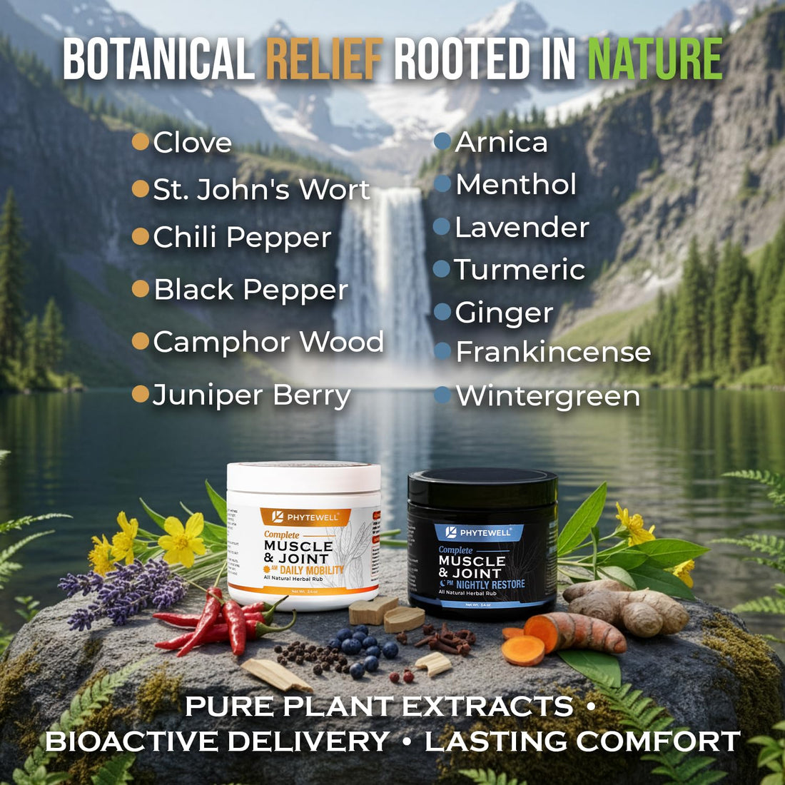 PHYTEWELL Muscle & Joint Rub Balm - Day & Night Pain Relief for Back, Knee, & Shoulder - Crafted with Arnica, Clove & Black Pepper to Support Recovery & Relaxation – Premium Non-Greasy Texture PHYTEWELLBuy Supplements Australia