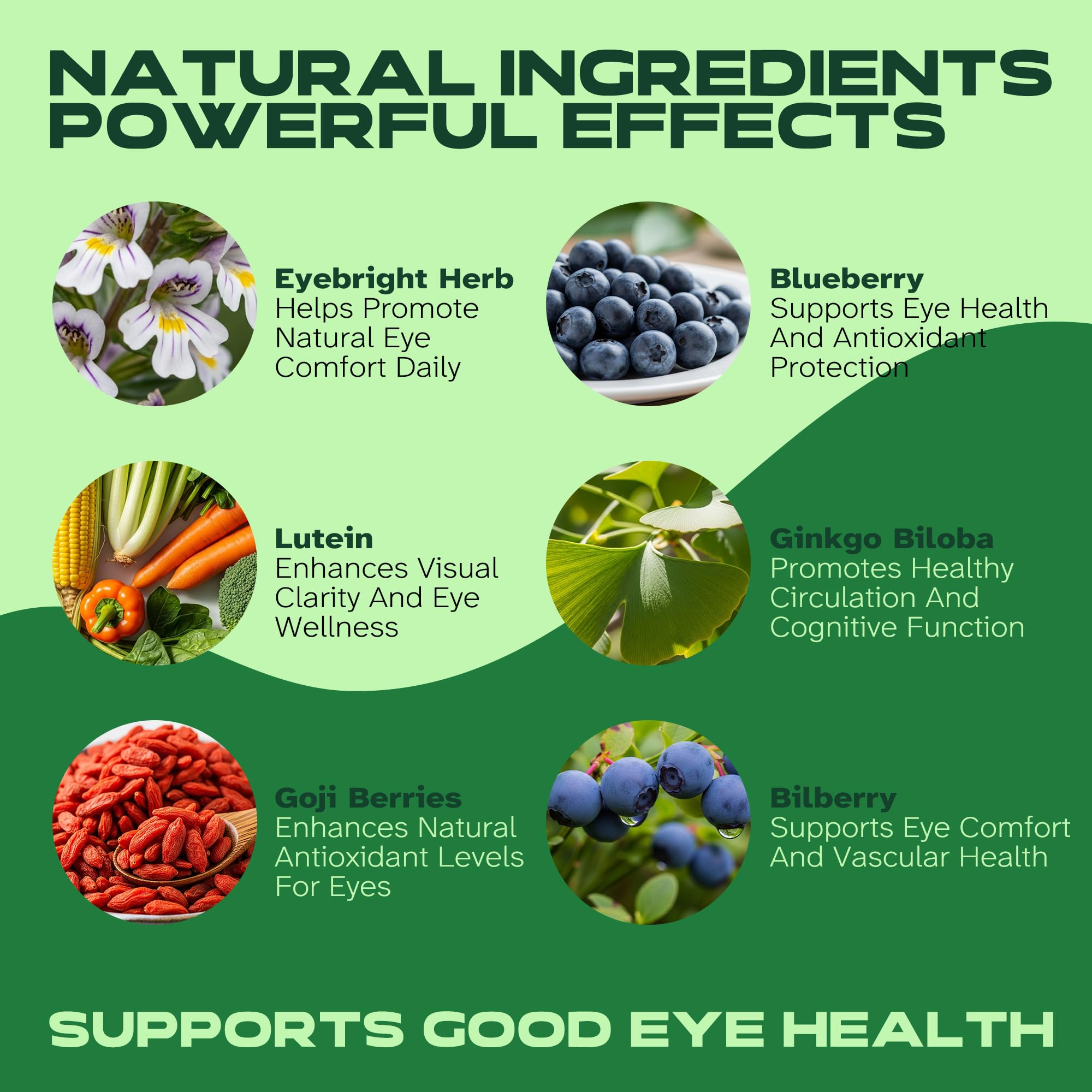 Vitalumina Eyebright Herbal Liquid with Organic Euphrasia, Lutein, Bilberry, Blueberry & Goji – Plant-Based Vegan Supplement for Adults – 4 fl oz VitaluminaBuy Supplements Australia