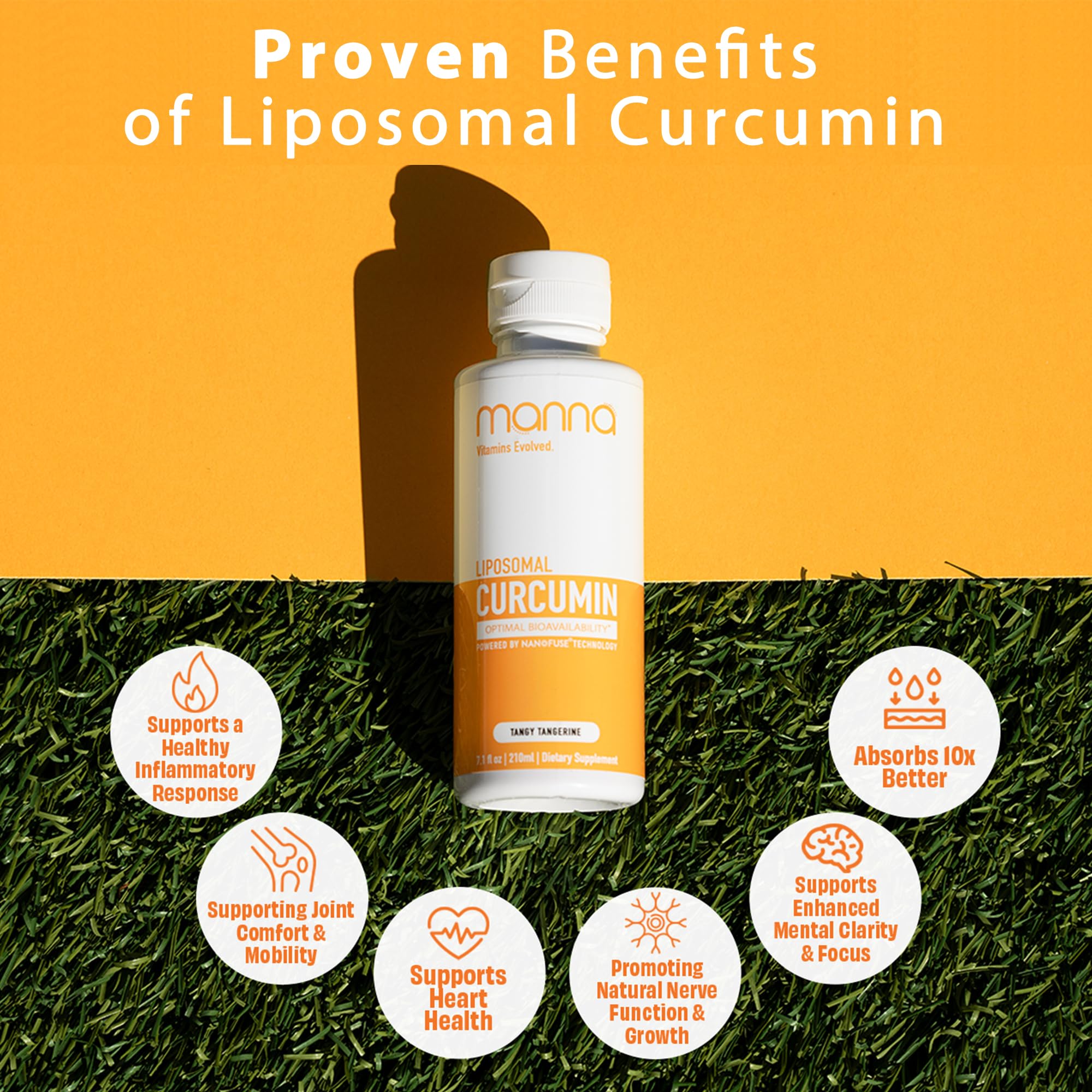 Manna Vitamins Evolved Liposomal Liquid Curcumin for Advanced Absorption Best Turmeric Supplement for Daily Joint & Immune Health Support - Vegan, Non-GMO, 95% Curcuminoids (1 Pack) Manna Vitamins Evolved buy supplements Au
