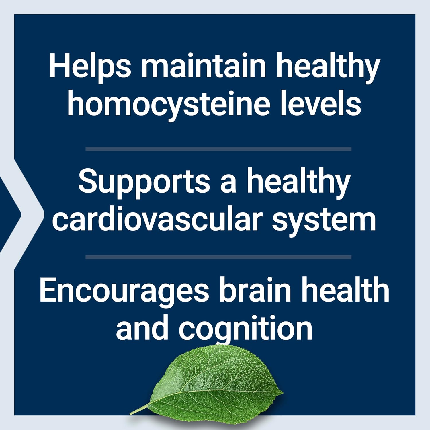 Life Extension Homocysteine Resist Vegetarian Capsules, 60 Count | Vitamin B2, B6, B12 & Folate as L-5-MTHF Support Heart & Brain Health, Once Daily, Gluten Free, Non-GMO & Vegetarian