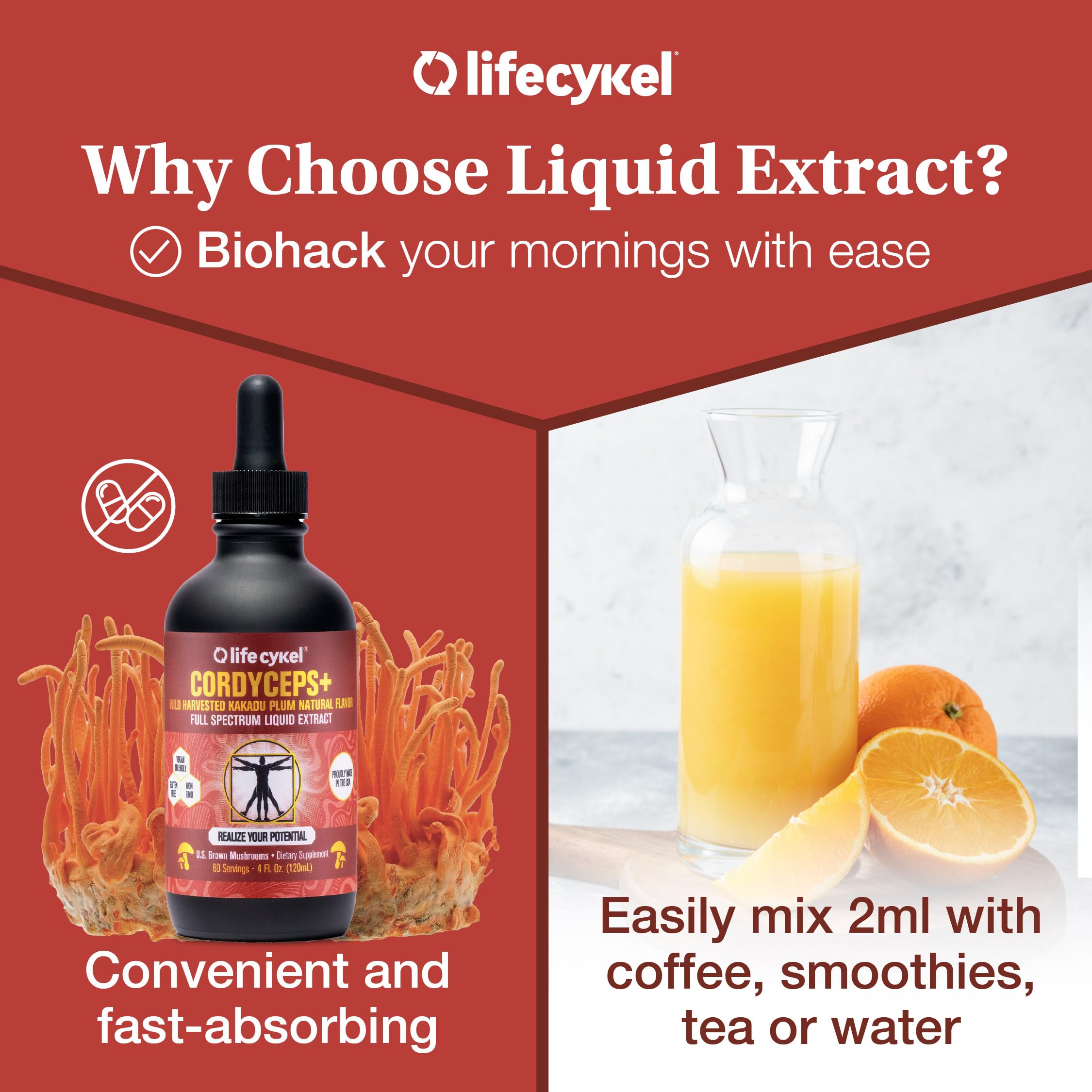 Life Cykel Cordyceps Mushroom Extract with Kakadu Plum - Energy, Stamina & Vitality Support, Natural Aging Supplement - Non-GMO and Vegan Tincture - 4Fl Oz