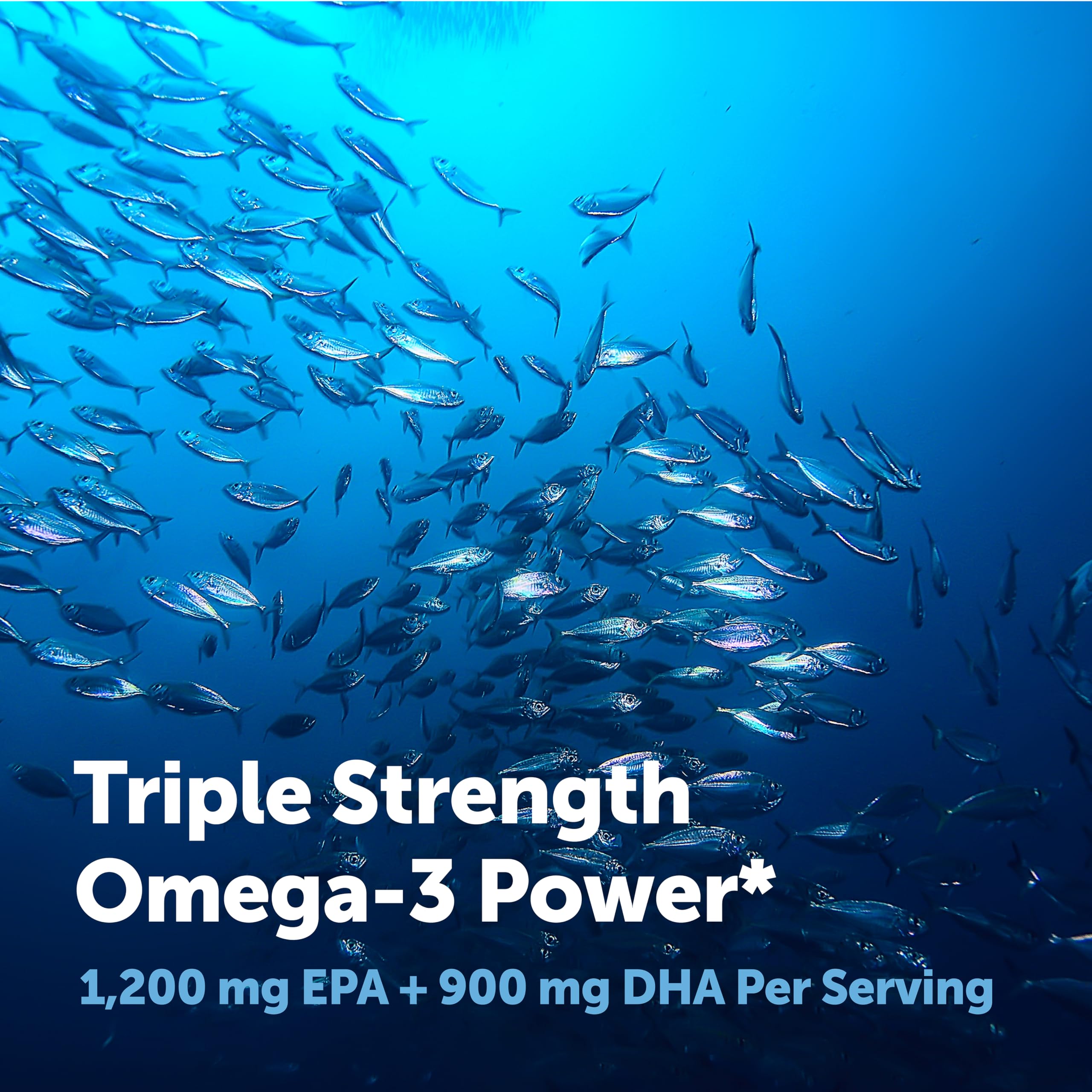 Micro Ingredients Triple Strength Omega 3 Fish Oil Supplements 4200mg Per Serving, 240 Softgels – Lemon Flavored – Burpless | EPA 1200mg + DHA 900mg | Deep Sea Fish