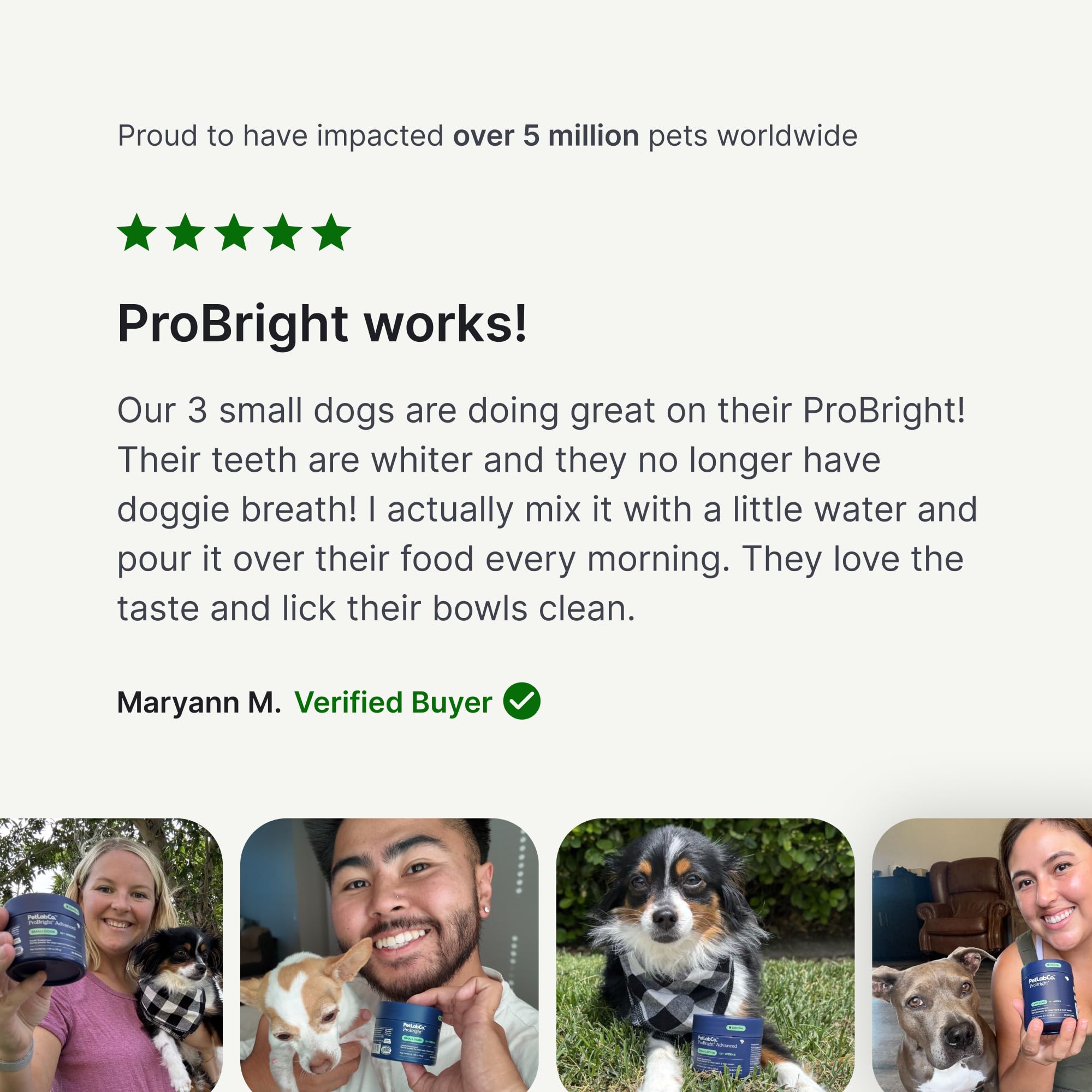 PetLab Co. ProBright Dental Powder for Small Dogs, 30 Scoops | Brown algae, green tea and probiotics in one easy daily scoop to support tartar and fresh breath