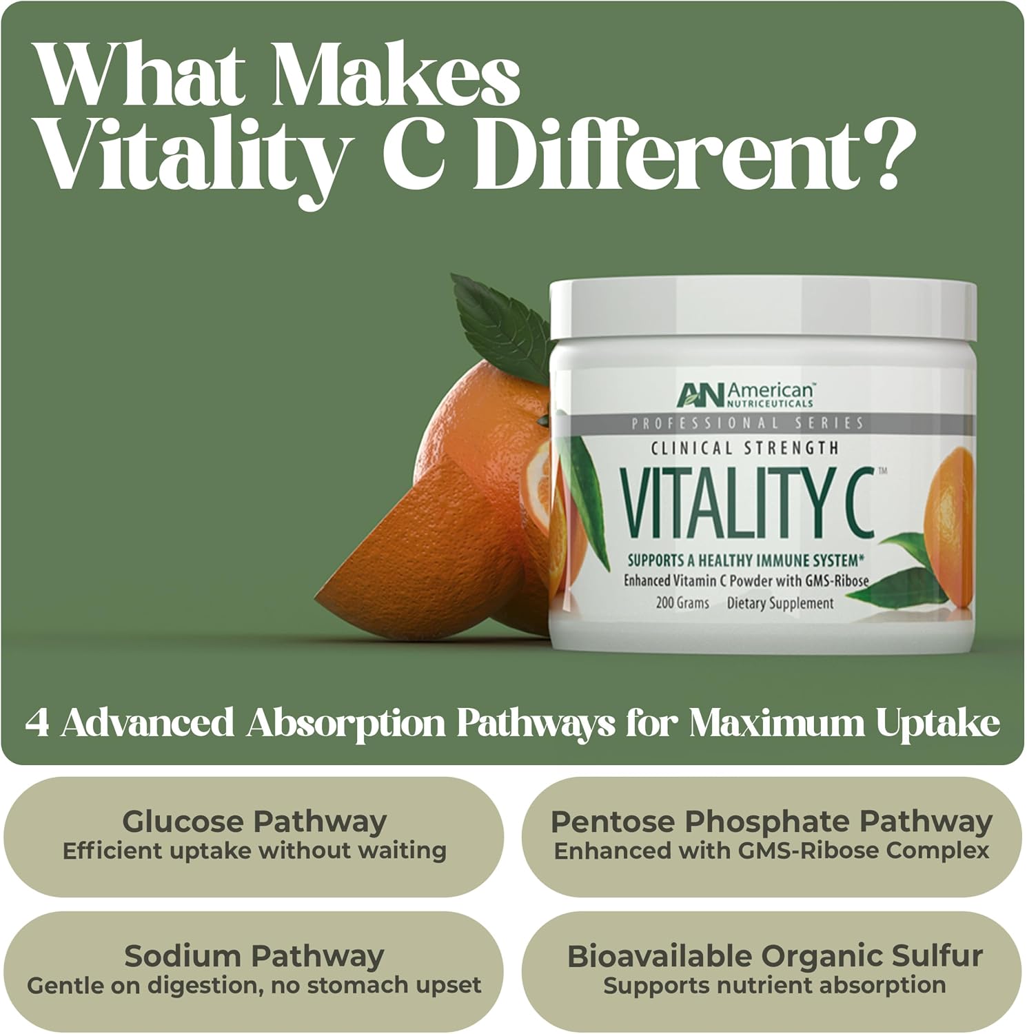 American Nutriceuticals Vitamin C Powder Sugar Free - Immune Booster -Non-Acidic - No Upset Stomach, No Gas - 4000mg (30-Day Supply)