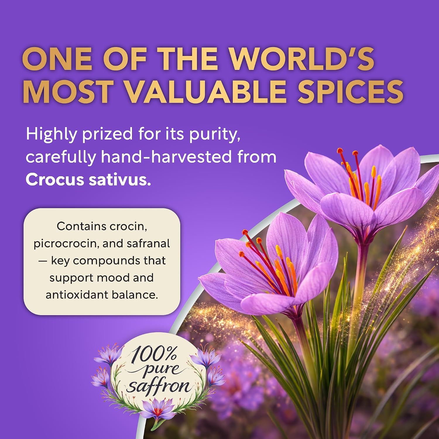 Saffron Supplements for Women 88.5mg Mood | Focus | Vision | Energy Support