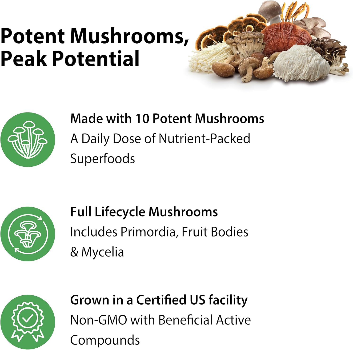 Rainbow Light Mushroom Complex Supplement | 60 Capsules | Made with 10 Potent Mushrooms | Includes Lions Mane, Chaga, Shiitake, Reishi & More | Non-GMO and Gluten Free