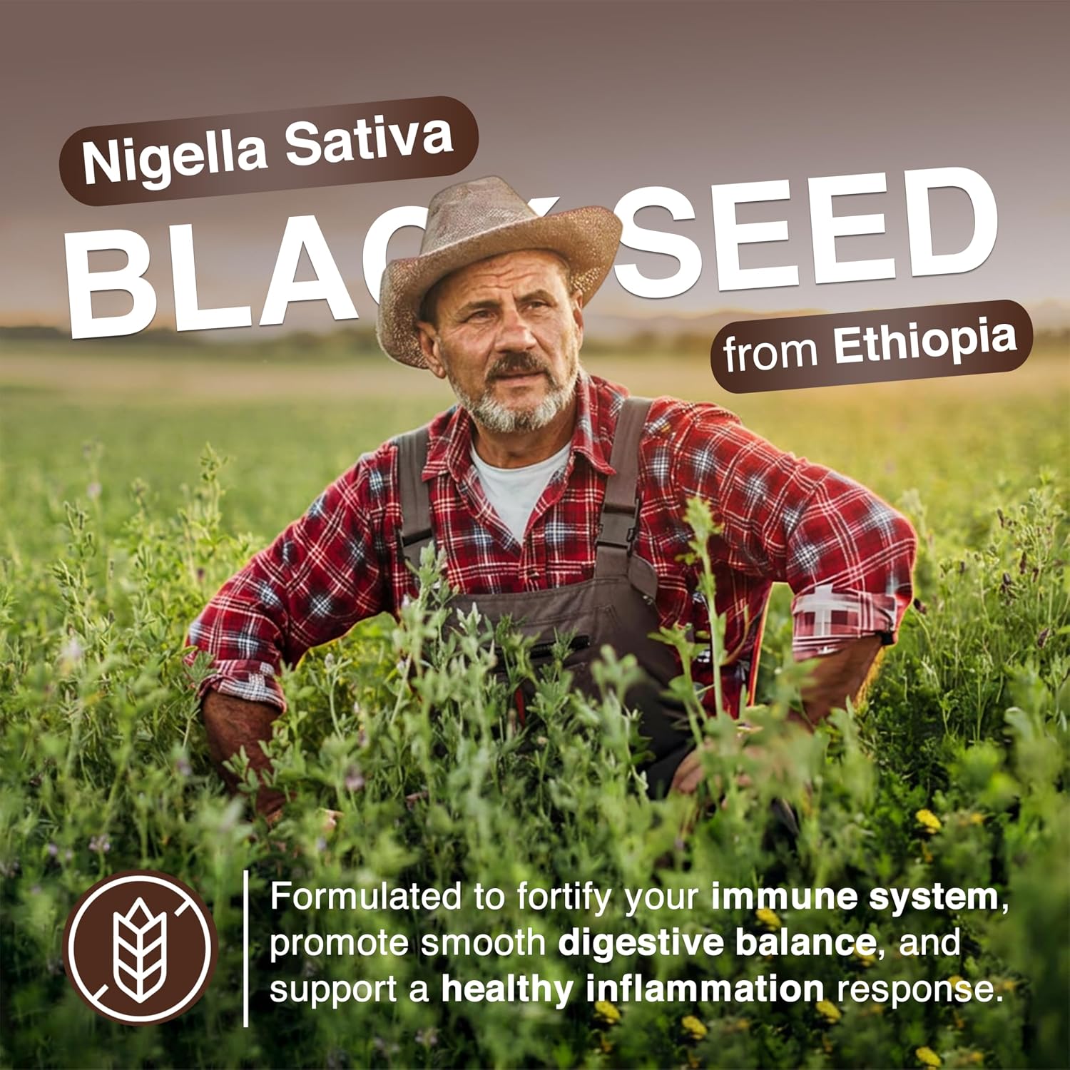 Resilia Ethiopian Black Seed Softgels 1000mg Per Serving – Premium Nigella Sativa Seed Oil Supplement – Digestive & Immune Support Formula – Easy to Swallow Soft Capsules 180 Count (Pack 3)