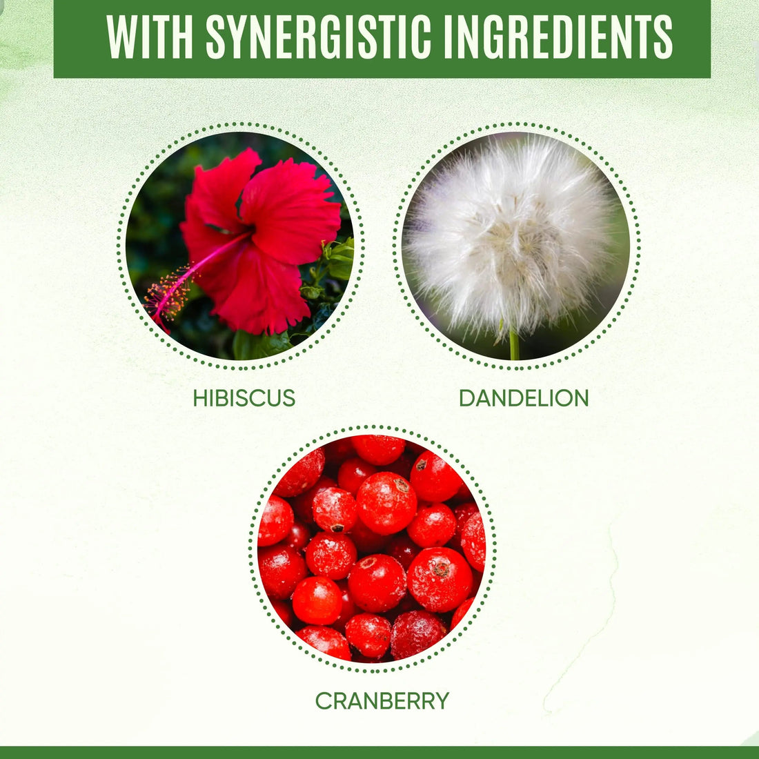 YEVANI 100% Pure D-Mannose Capsules 1000 mg with Cranberry, Hibiscus, and Dandelion Extract, Fast Acting Professional UTI Prevention Formula for Urinary Tract Health and Bladder Support YEVANIBuy Supplements Australia