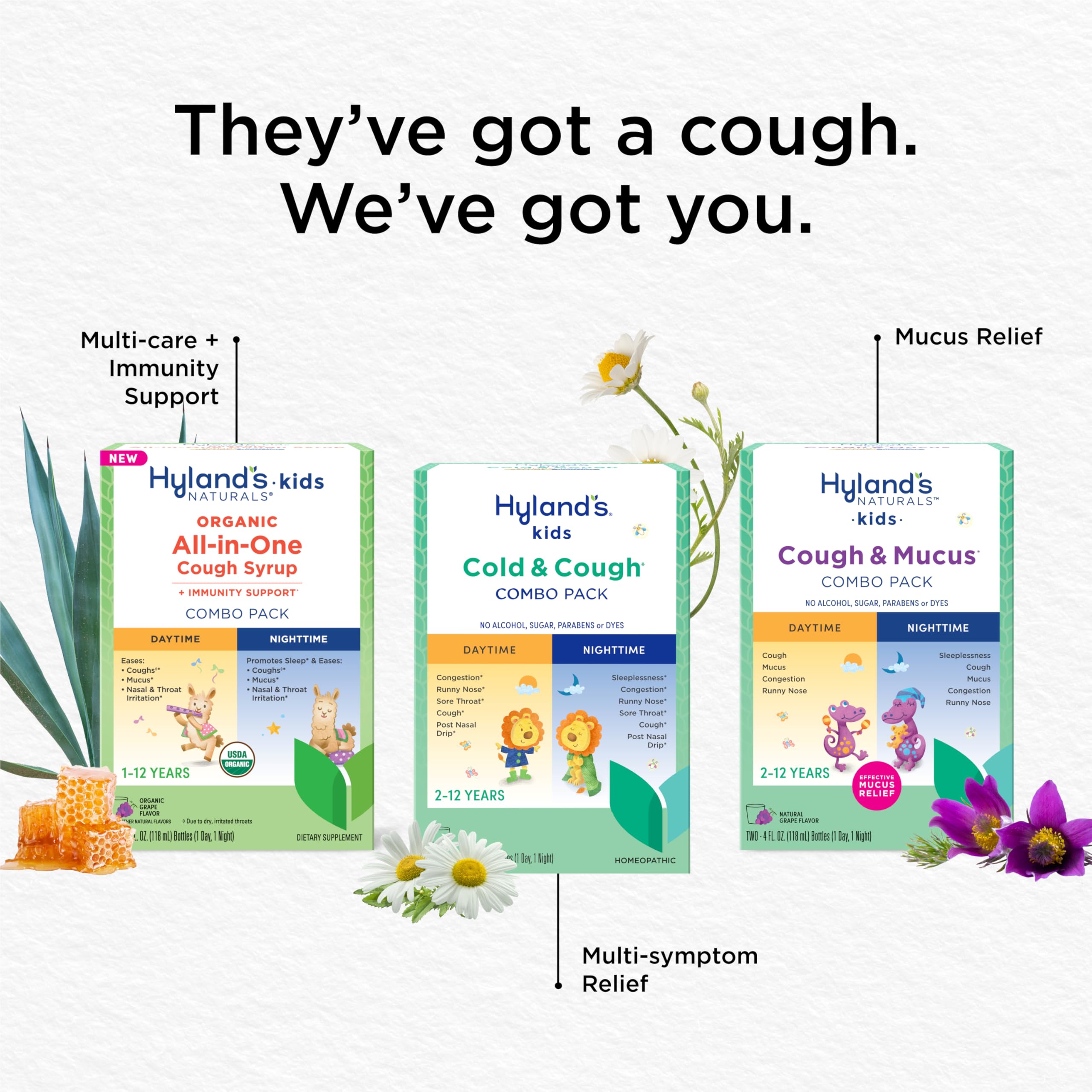Hyland's Kids Cold and Cough, Day and Night Combo Pack, Cold Medicine for Ages 2 and up, Syrup Cough Medicine for Kids, Nasal Decongestant, 4 Fl Oz (Pack of 2) Hyland's buy supplements Au