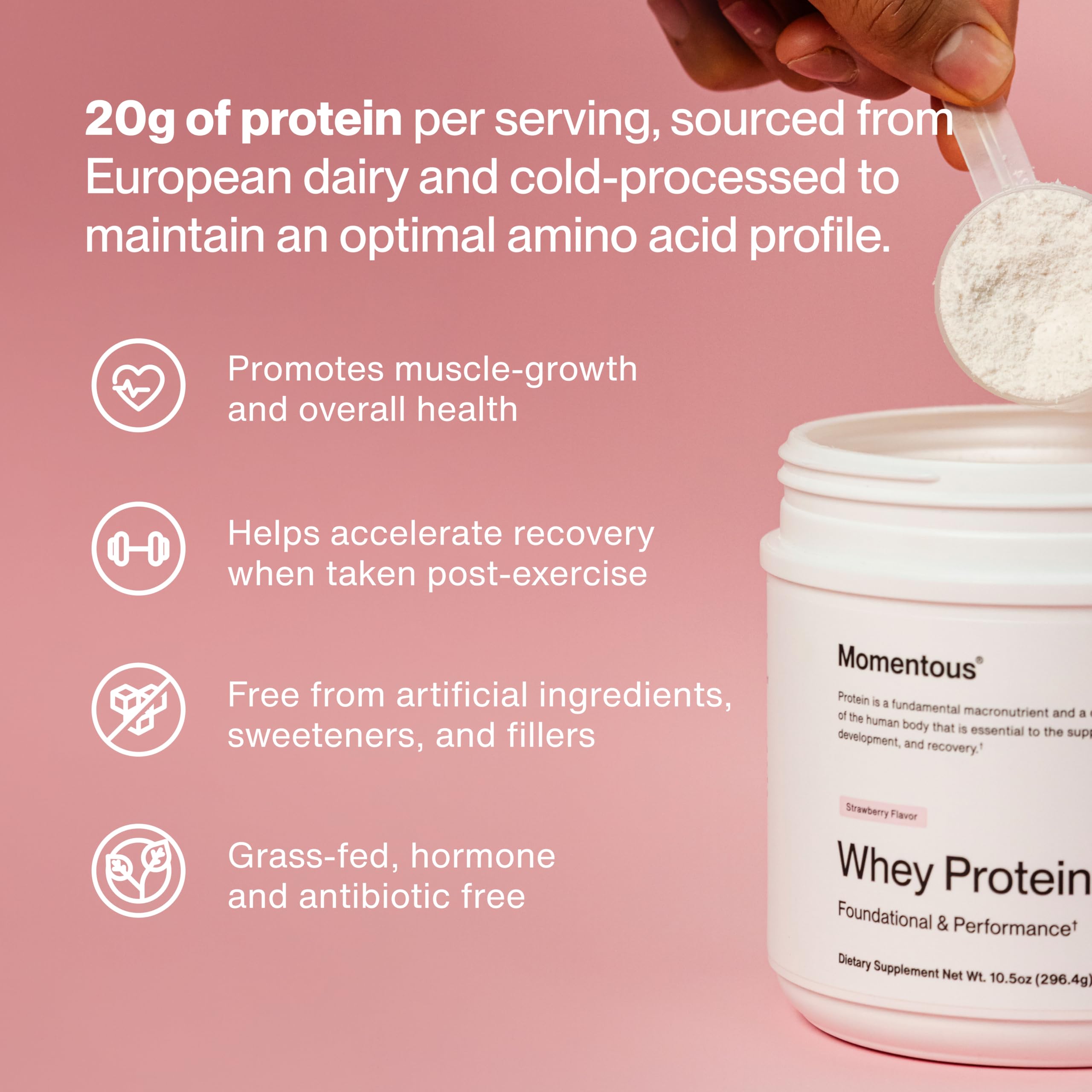 Momentous Essential Grass-Fed Whey Protein Powder - 20 g Whey Isolate Protein - NSF Certified for Sport - Gluten-Free - 25 Servings for Essential Everyday Use - Vanilla - Package May Vary