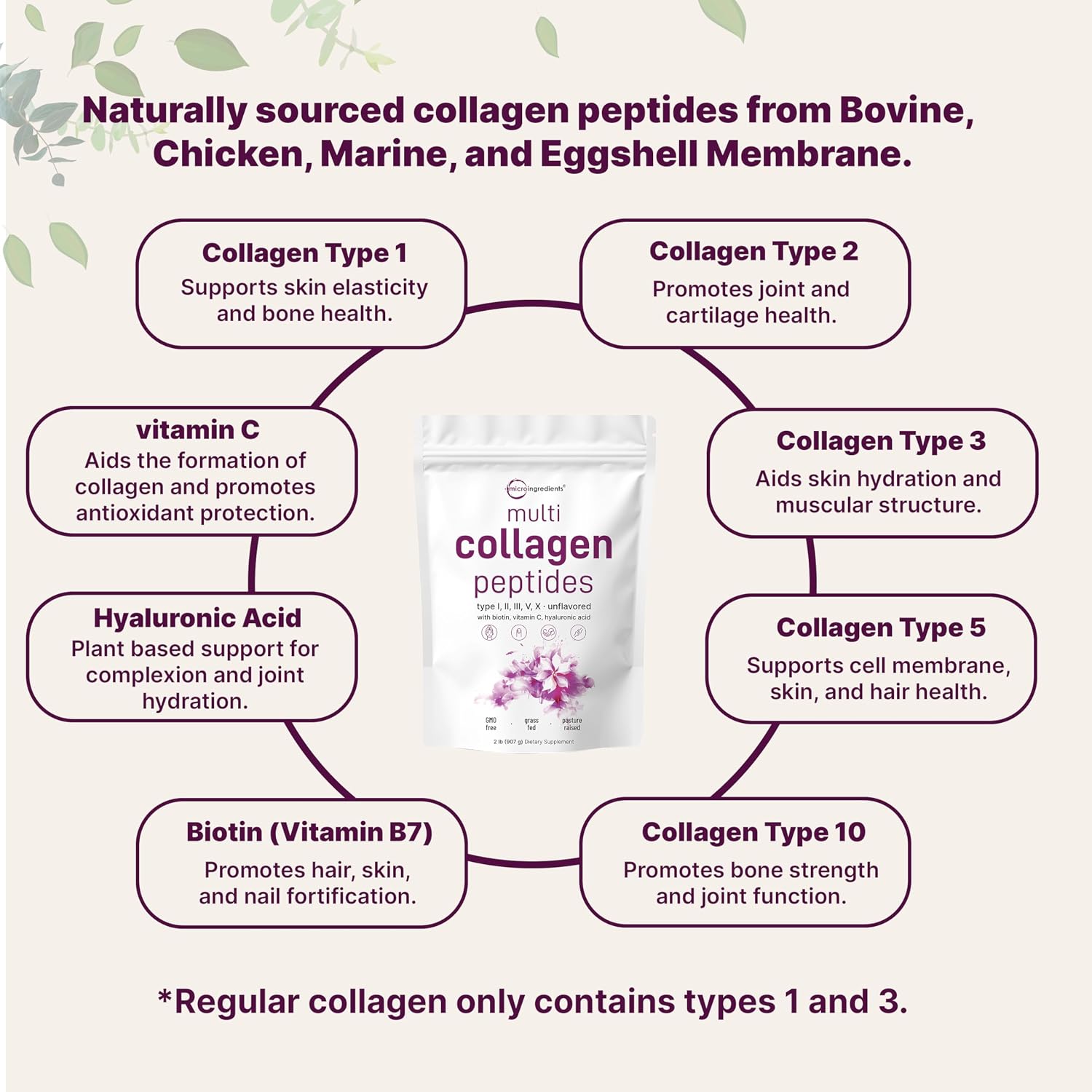 Micro Ingredients 8-in-1 Multi Collagen Powder & Women’s Probiotics 100 Billion CFU Veggie Capsules | 2 Pack | Hydrolyzed Peptides + Hyaluronic Acid & Vitamin C | 40 Strains + Cranberry & D-Mannose