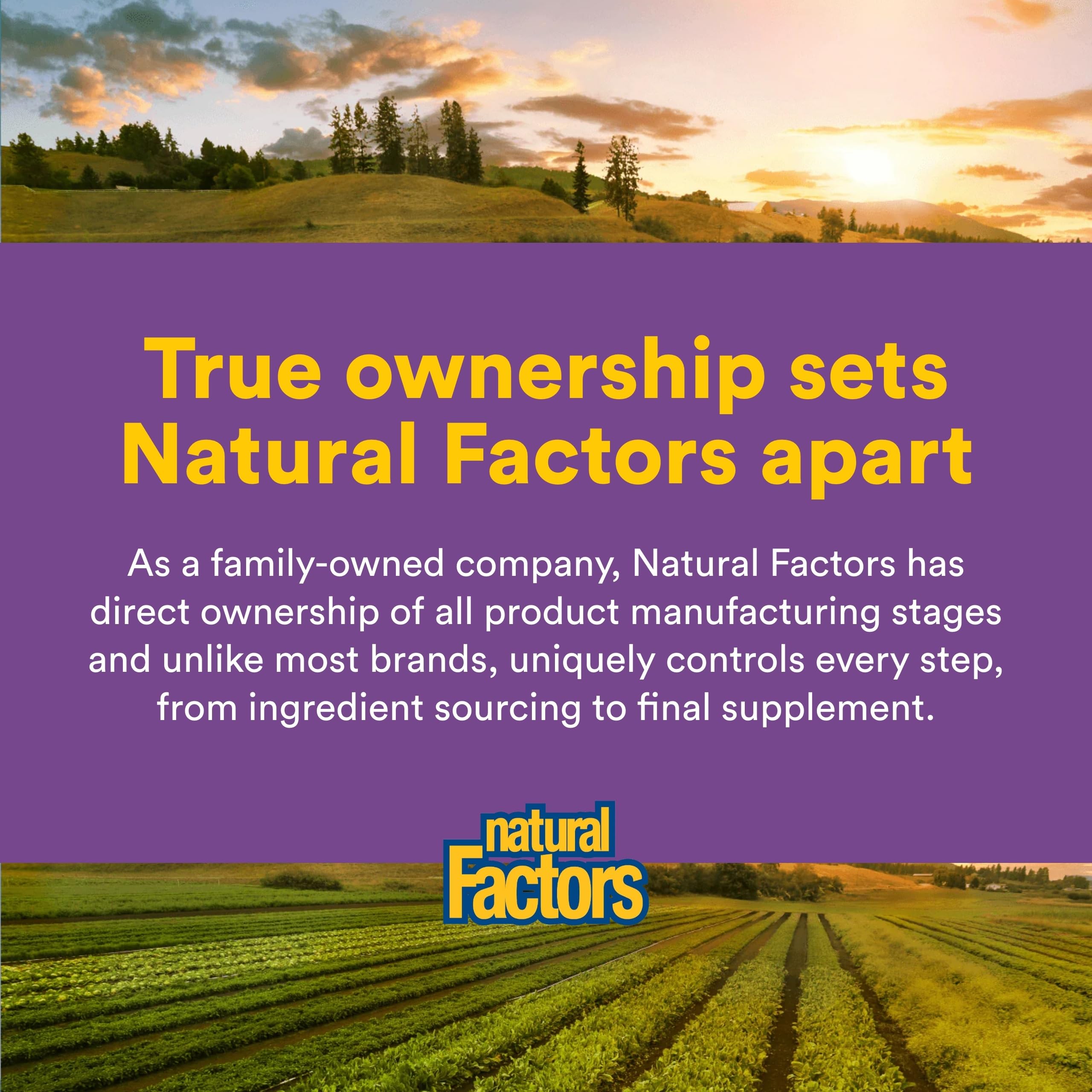 Natural Factors Pharma GABA - Dietary Supplement Supports Calm Sleep & Sleep Quality - Natural, Fast-Working Supplement Aids Focus & Brain Health - 60 Chewable Tablets (60 Servings) Natural FactorsBuy Supplements Australia