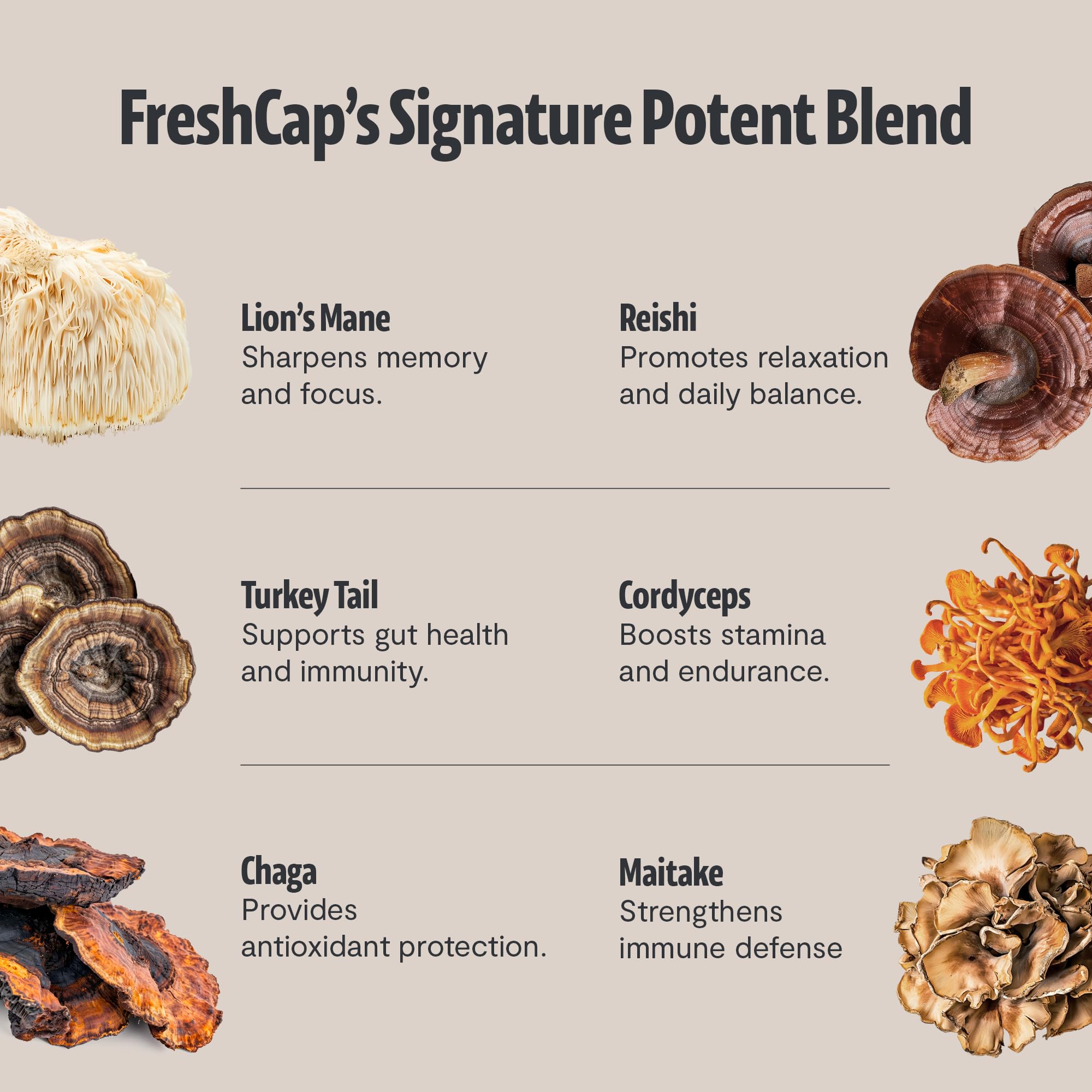 Premium Organic Mushroom Coffee – 12:1 Fruiting Body Extract – 29% Beta-Glucans – Smooth Tasting, 3rd-Party Tested for Clean Energy, No Jitters, Focus, Immune Support (15 Servings)