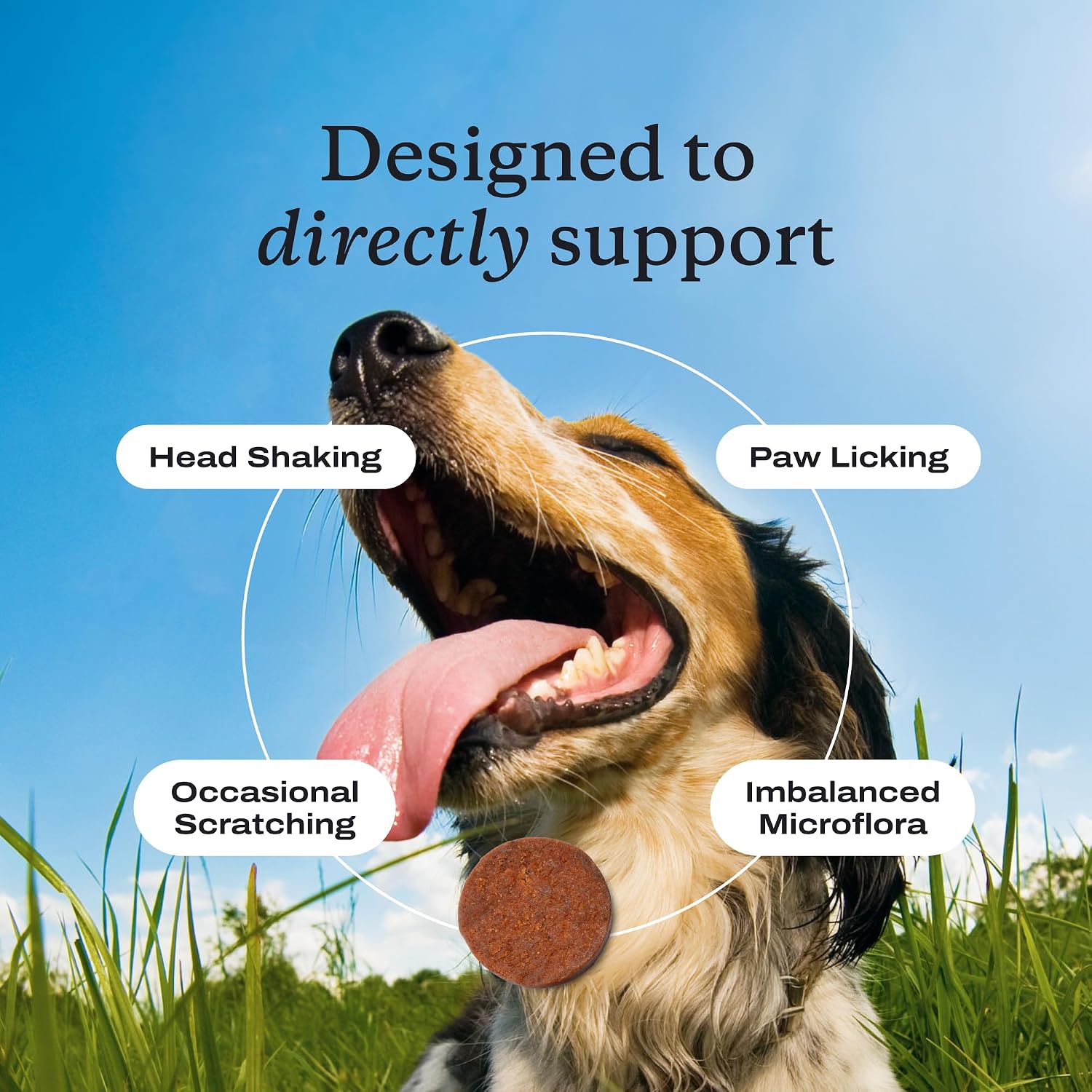 PetLab Co. - Gut & Allergy Support Bundle: Dog Probiotics for Effortless Gut Health Support & Allergy & Immune Chews for Seasonal Allergy Support – Target paw Licking & Scratching at the Source