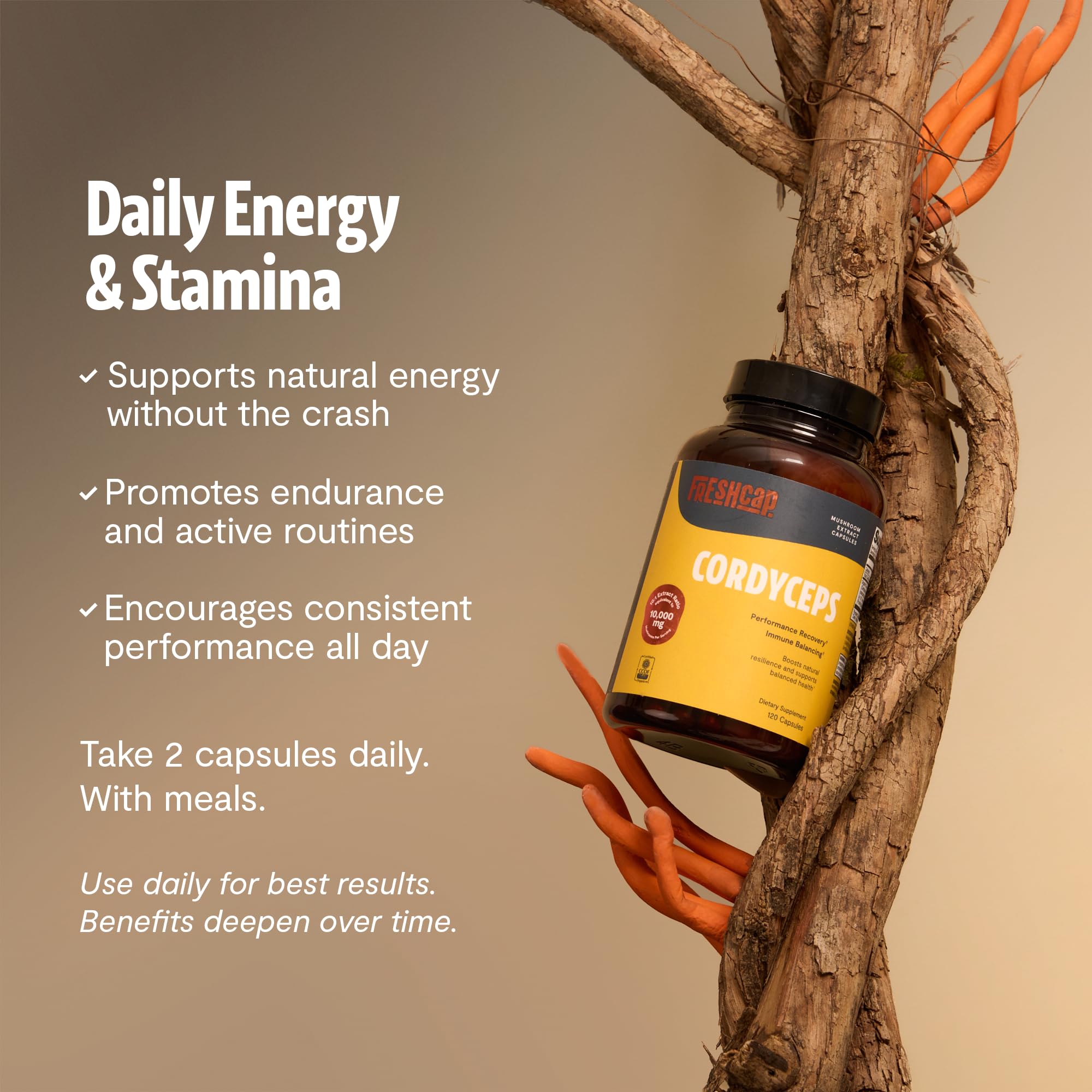FreshCap Mushrooms Premium Organic Lions Mane Capsules - 14:1 Fruiting Body Extract with 31% Beta-Glucans - 3rd-Party Tested Nootropic for Clarity, Focus & Cognitive Support (120 Capsules)