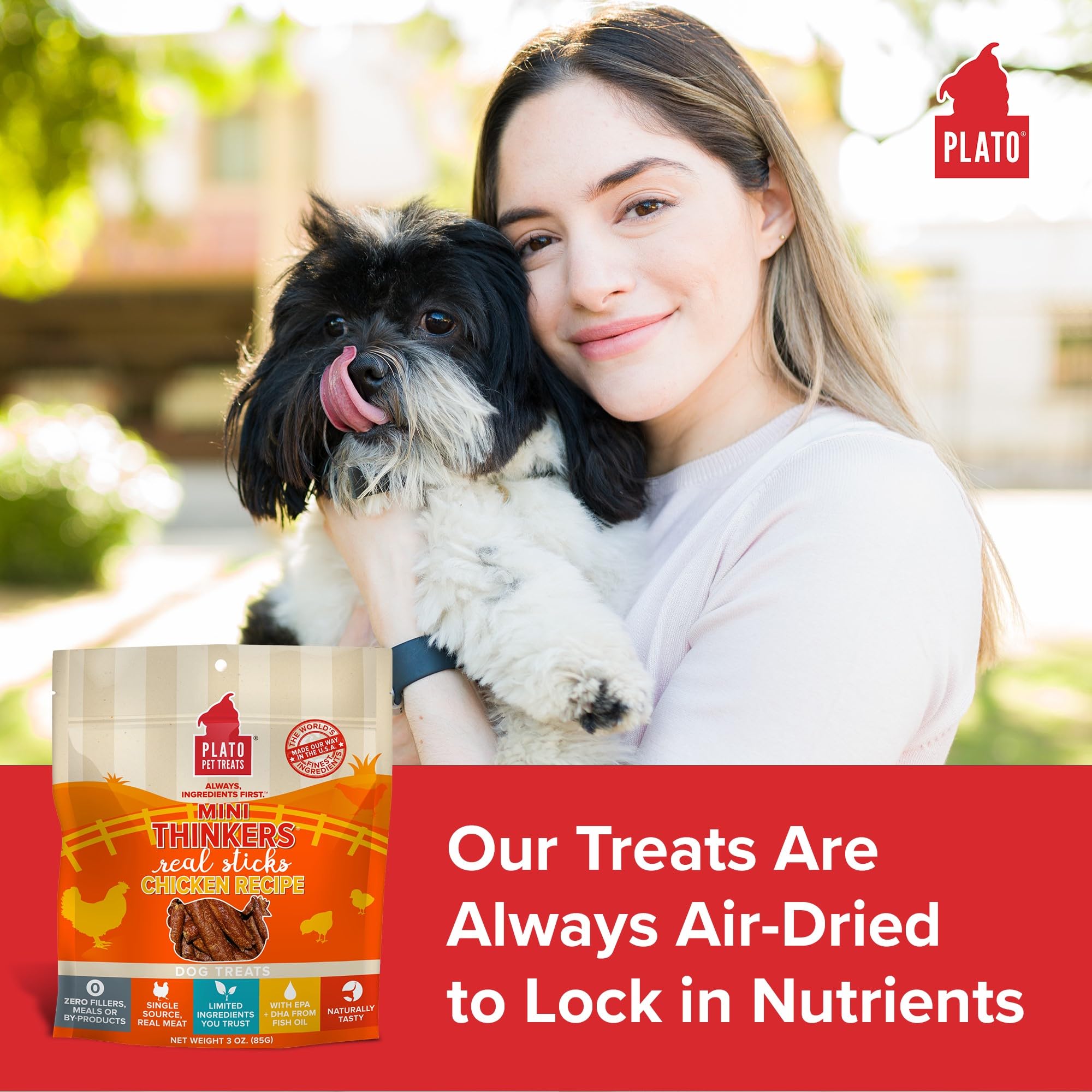 Plato Meat Sticks Salmon Dog Treats, Air-Dried High-Protein Soft Chews with Omega Fish Oil (EPA & DHA), 10 oz