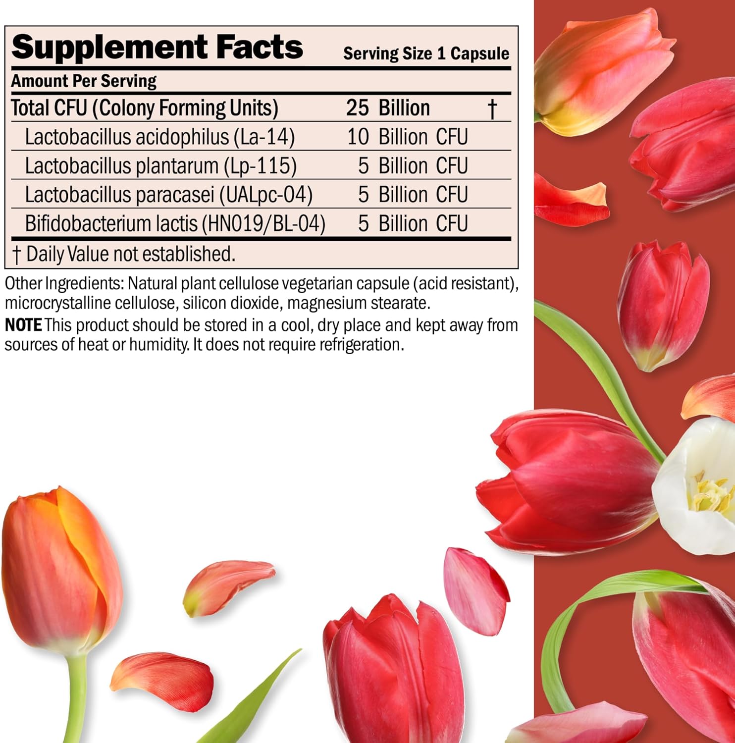 Andrew Lessman ProCaps Probiotic 25 Billion CFU 60 Capsules for Women & Men | Shelf-stable 25 Billion CFU. Four probiotic strains. No refrigeration required. Supports digestive & immune health.