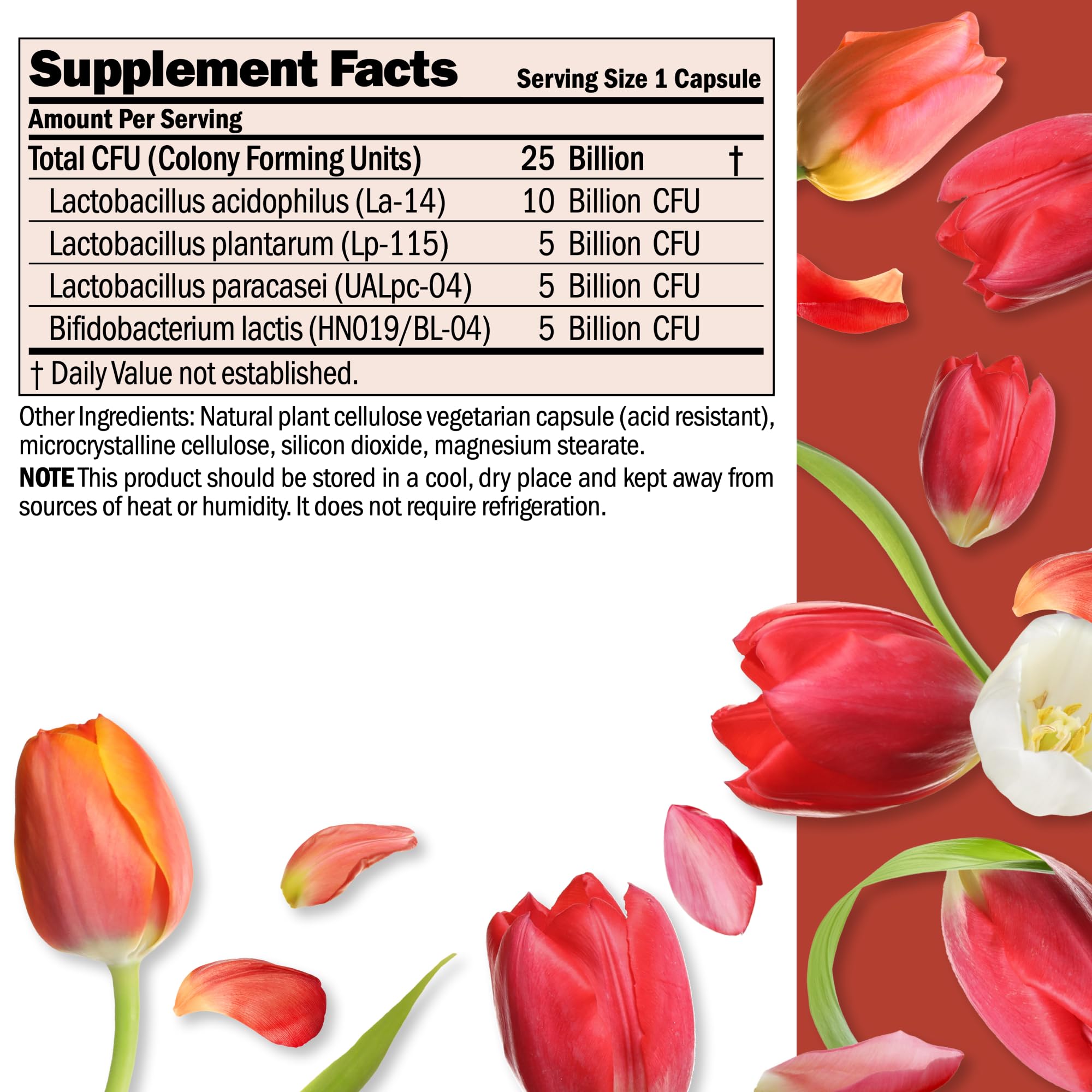 Andrew Lessman ProCaps Probiotic 25 Billion CFU 60 Capsules for Women & Men | Shelf-stable 25 Billion CFU. Four probiotic strains. No refrigeration required. Supports digestive & immune health.