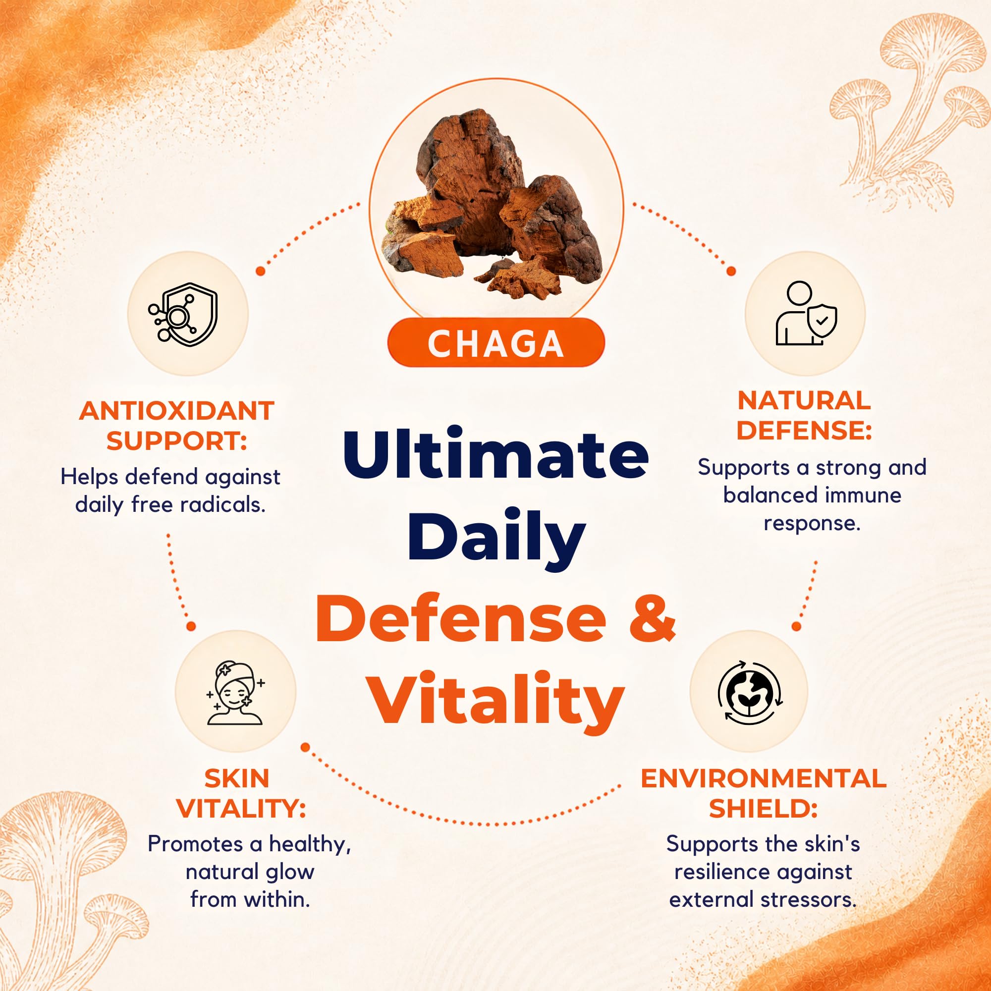 8-Mushroom Extract Powder by Malama, Organic Body Mushroom Blend Featuring Lion's Mane, Reishi, Cordyceps, Chaga, Turkey Tail, Superfood Adaptogenic