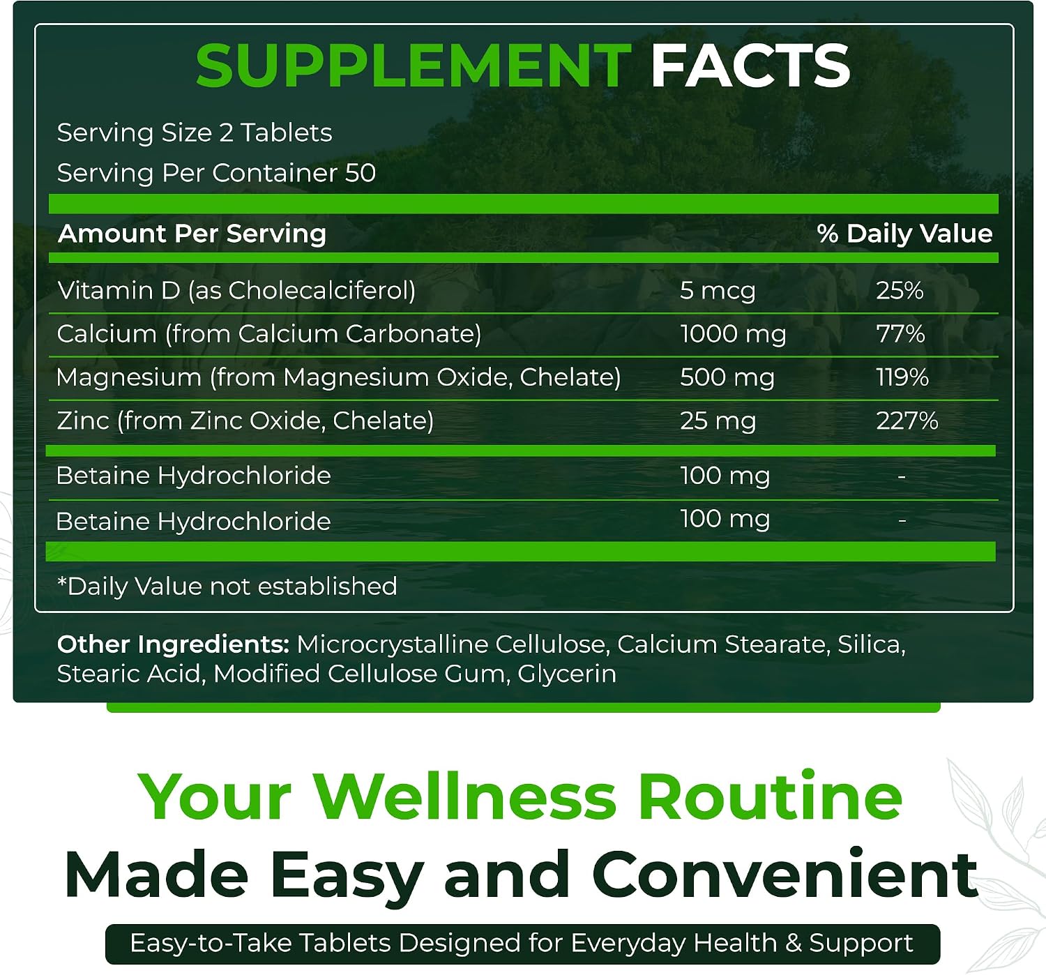 Natural Nutra Calcium Magnesium Zinc (Cal-Mag Zinc) with Vitamin D3,100 | Bone, Teeth, Muscle & Nerve Support, Gluten Free, Sugar Free
