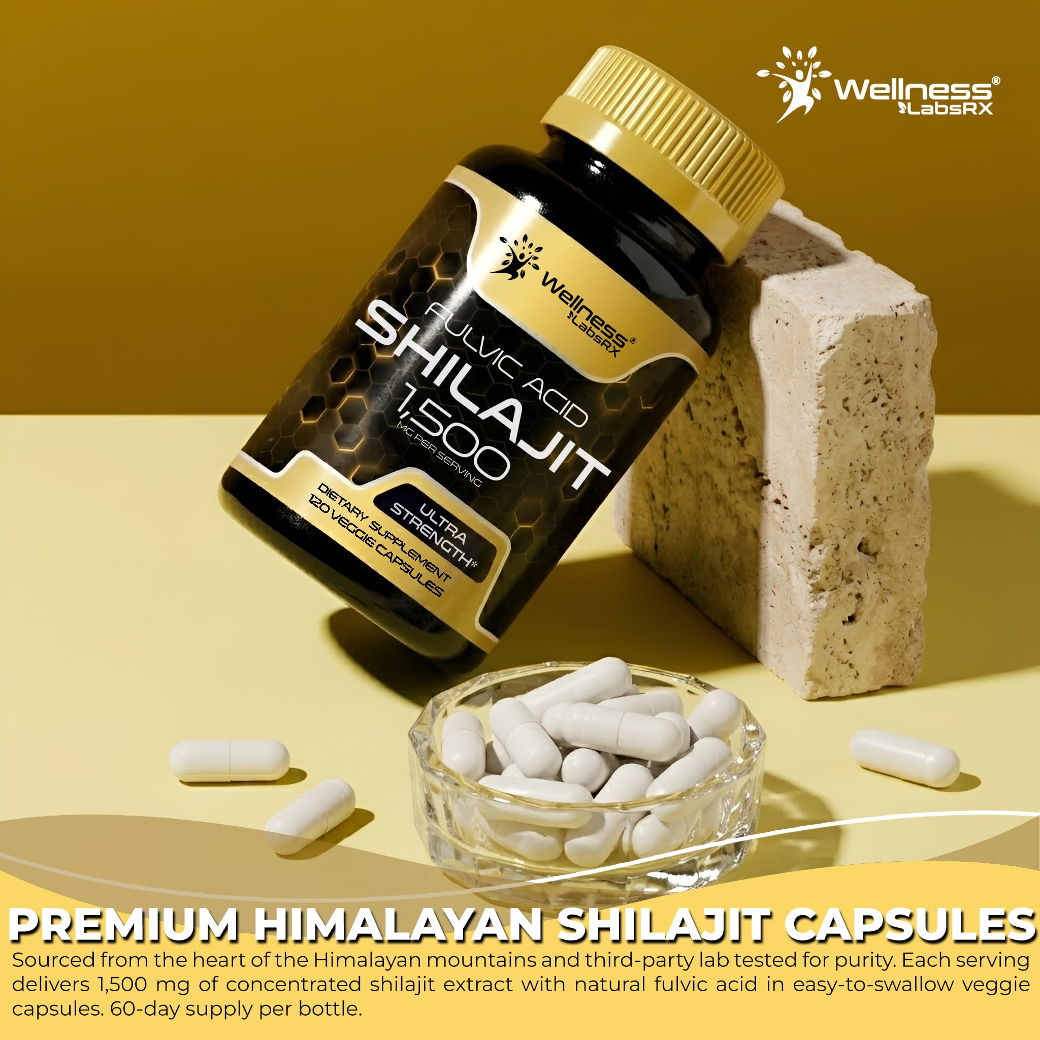 Himalayan Shilajit for Men - Shilajit Extract 1500mg per Serving, Pure Shilajeet for Women with Naturally Occuring Fulvic Acid - Shilajet for Enhanced Energy and Immune Support - 120 Count (Pack of 2)